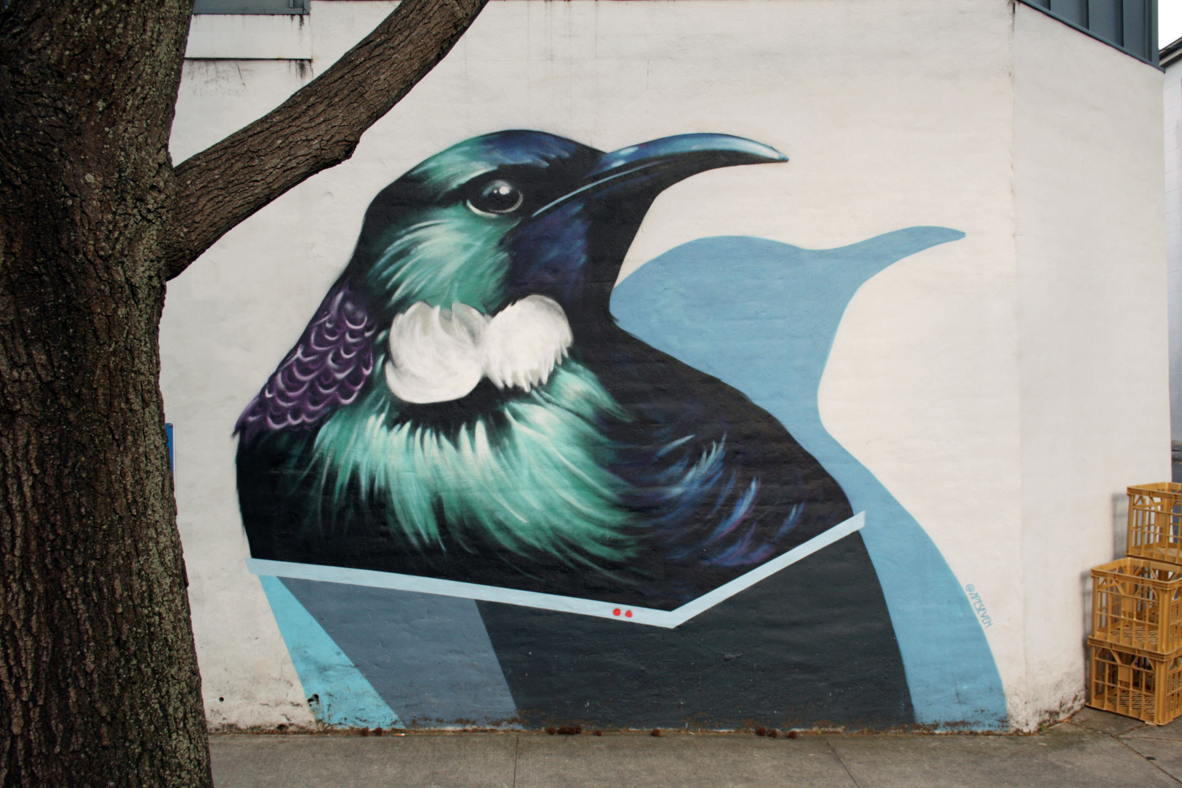 Tui