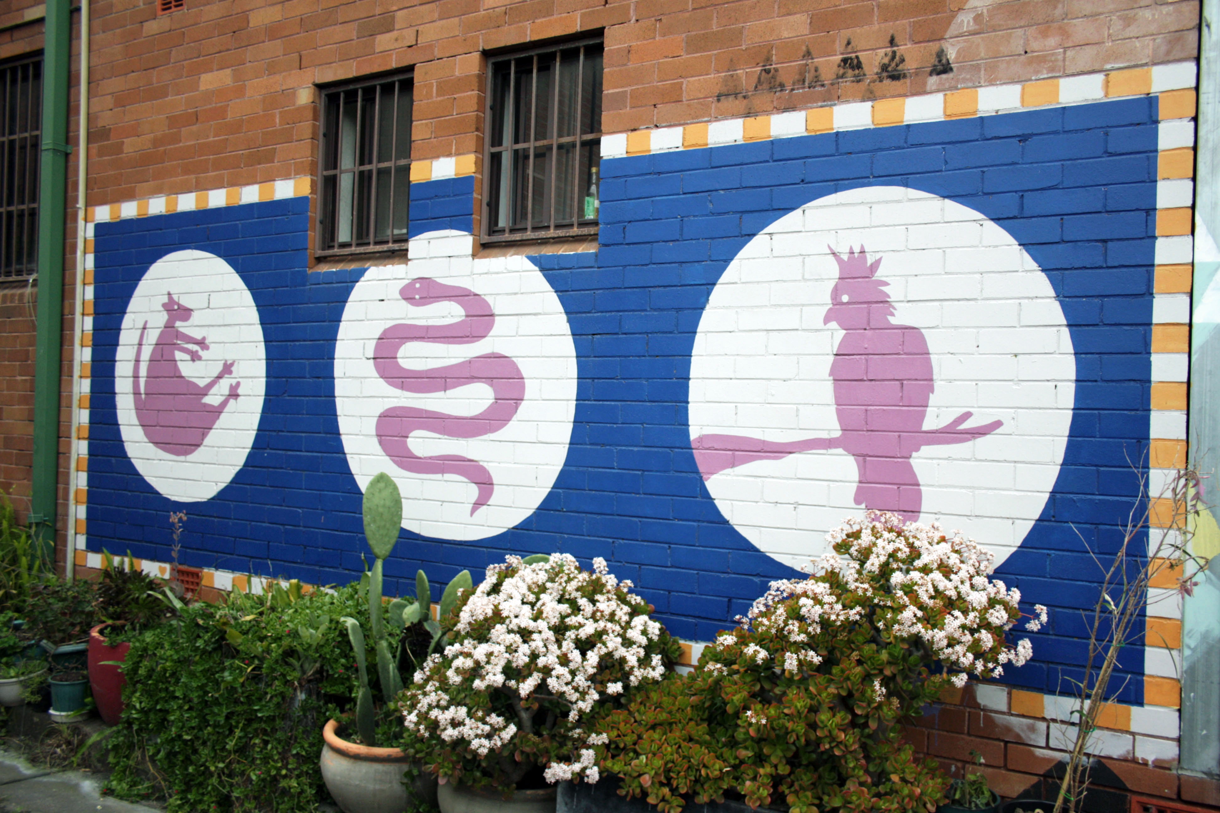 Untitled | Street Art NSW