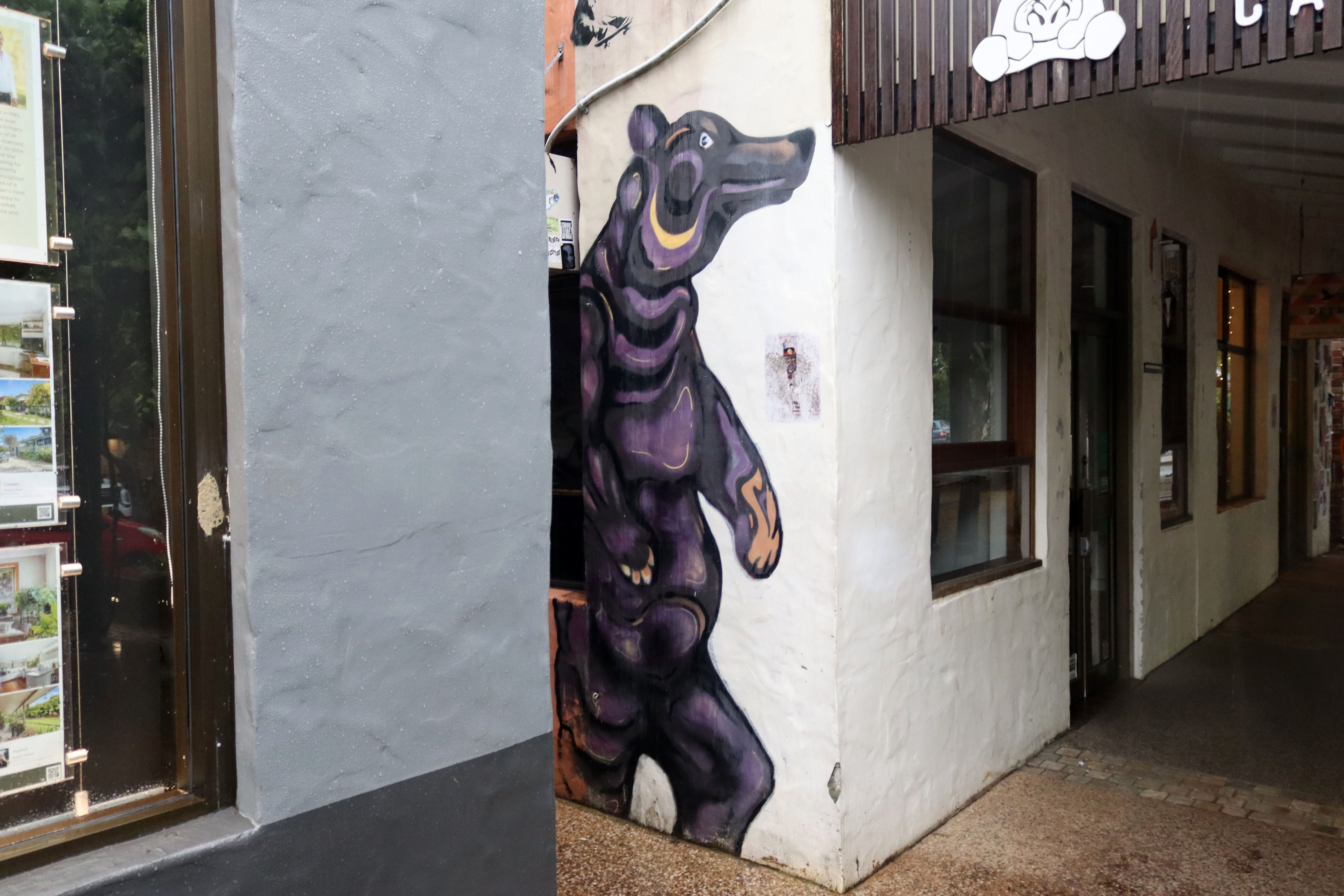 Black Bear | Street Art NSW