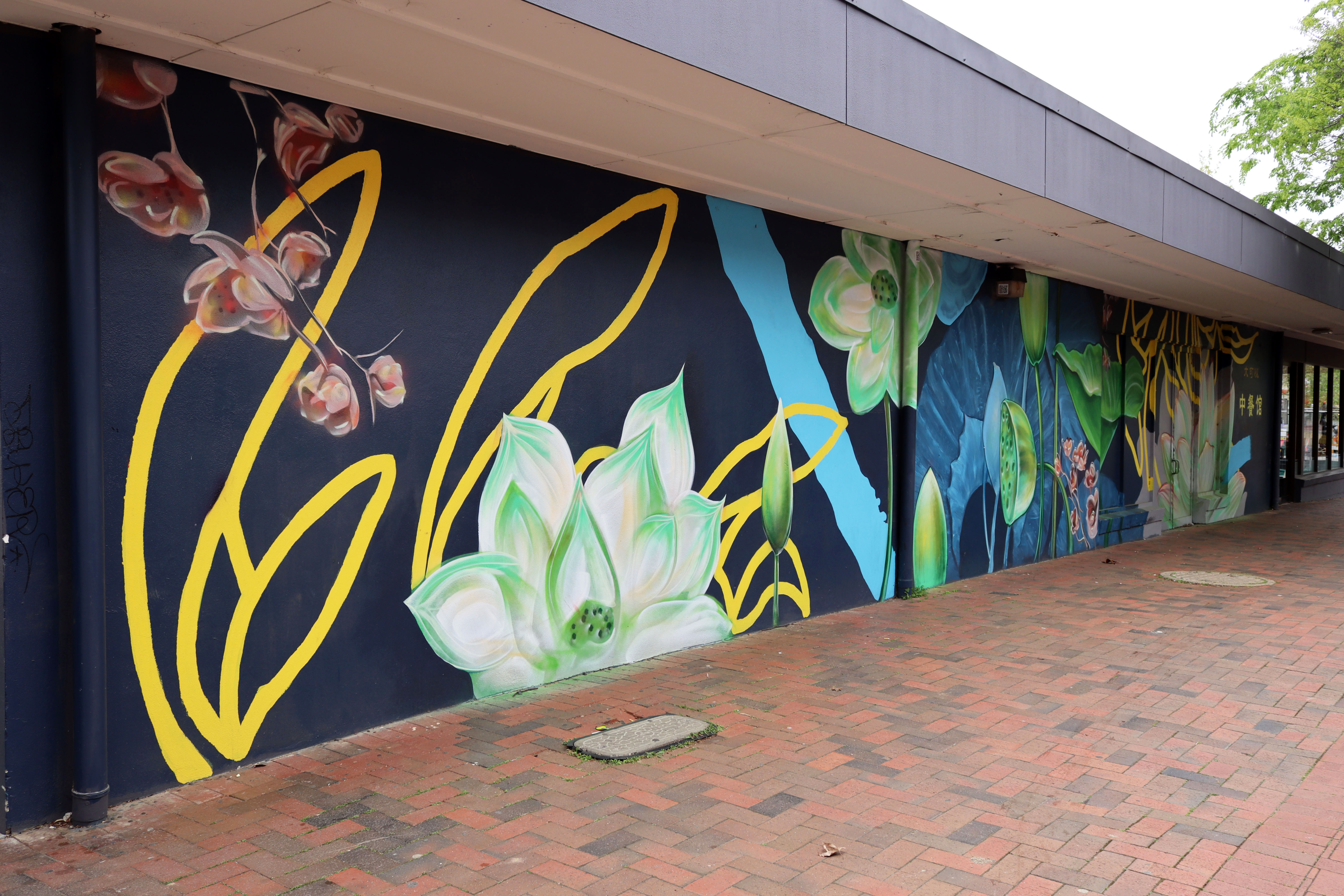 Untitled | Street Art NSW