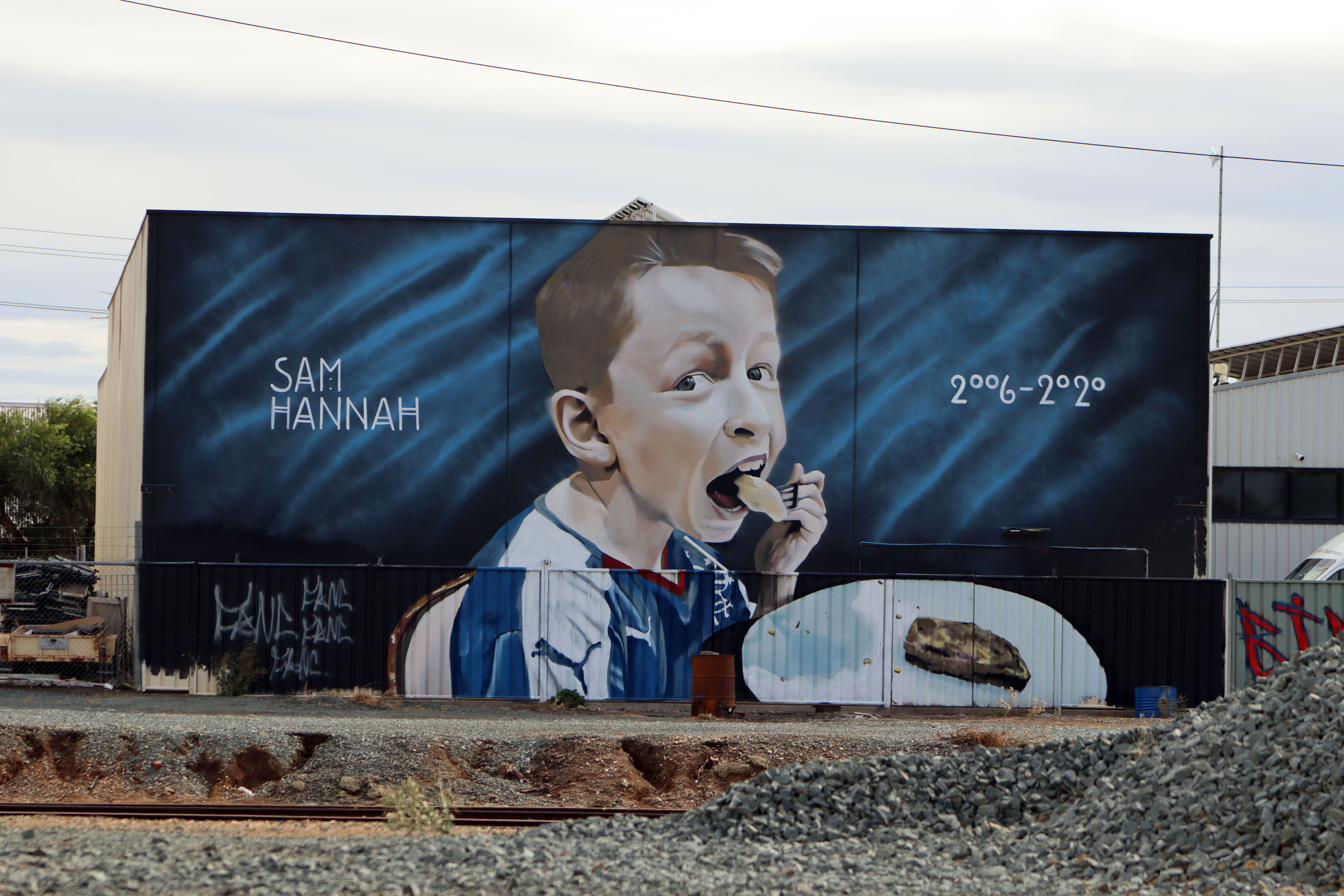 Sam's Wall by Shaun Devenney | Street Art NSW