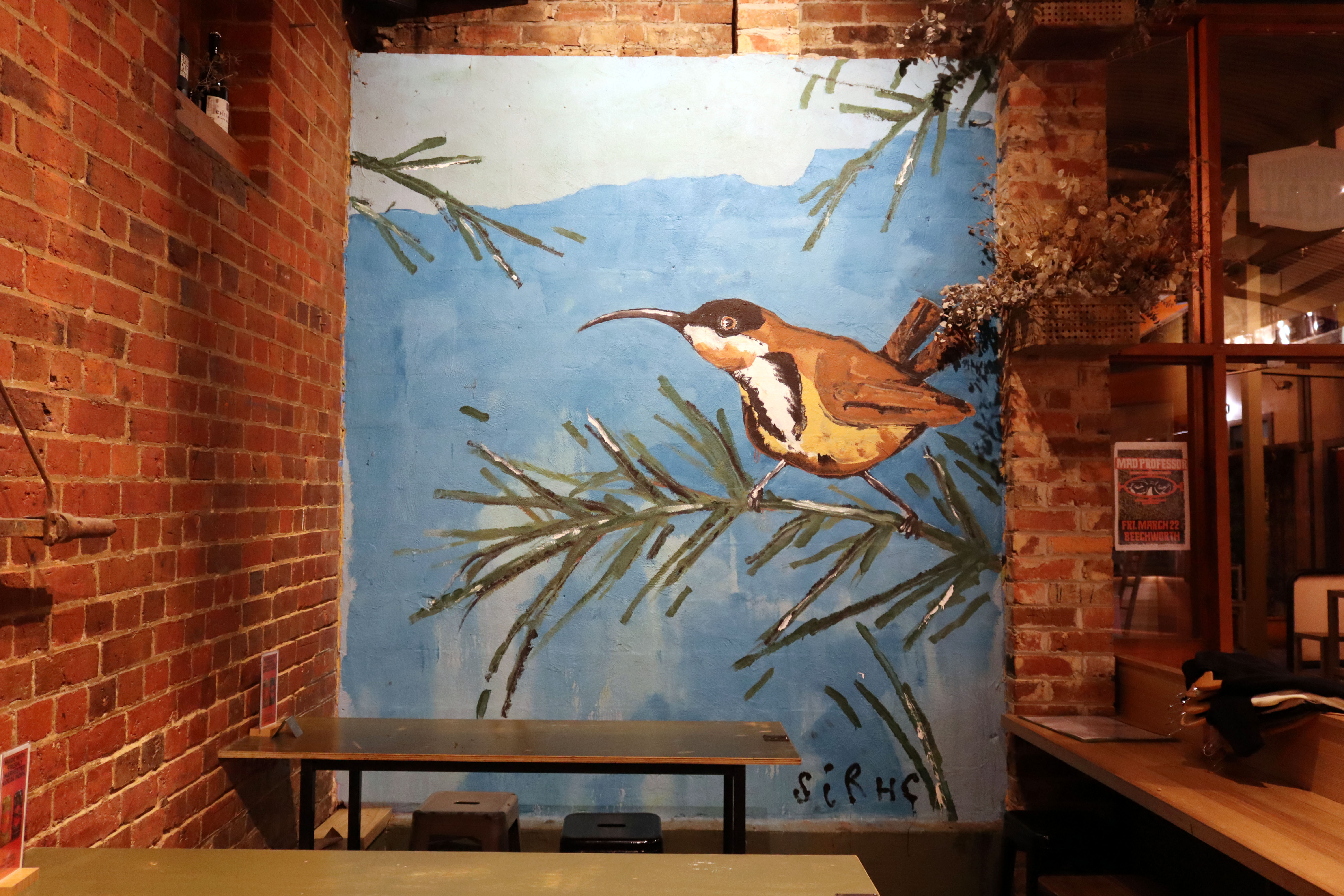 Eastern Spinebill by Chris Henderson | Street Art NSW