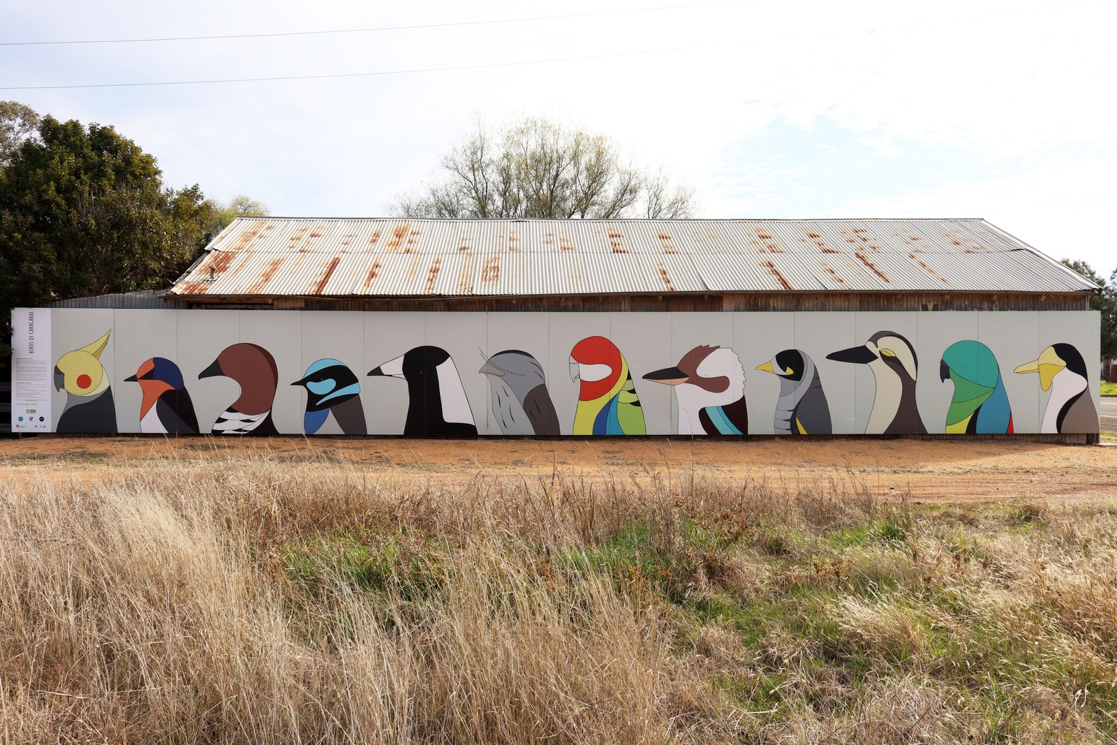 The Caragabal Bird Art Project by Eggpicnic | Street Art NSW