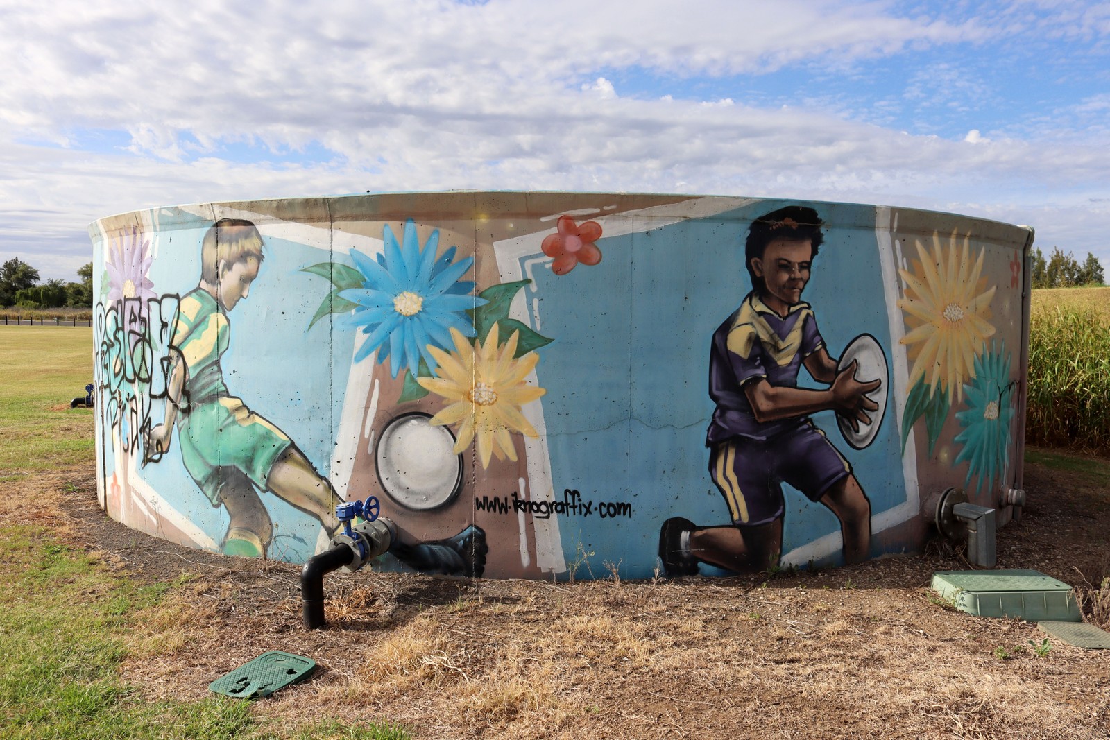 Gipps Street by Iknograffix | Street Art NSW