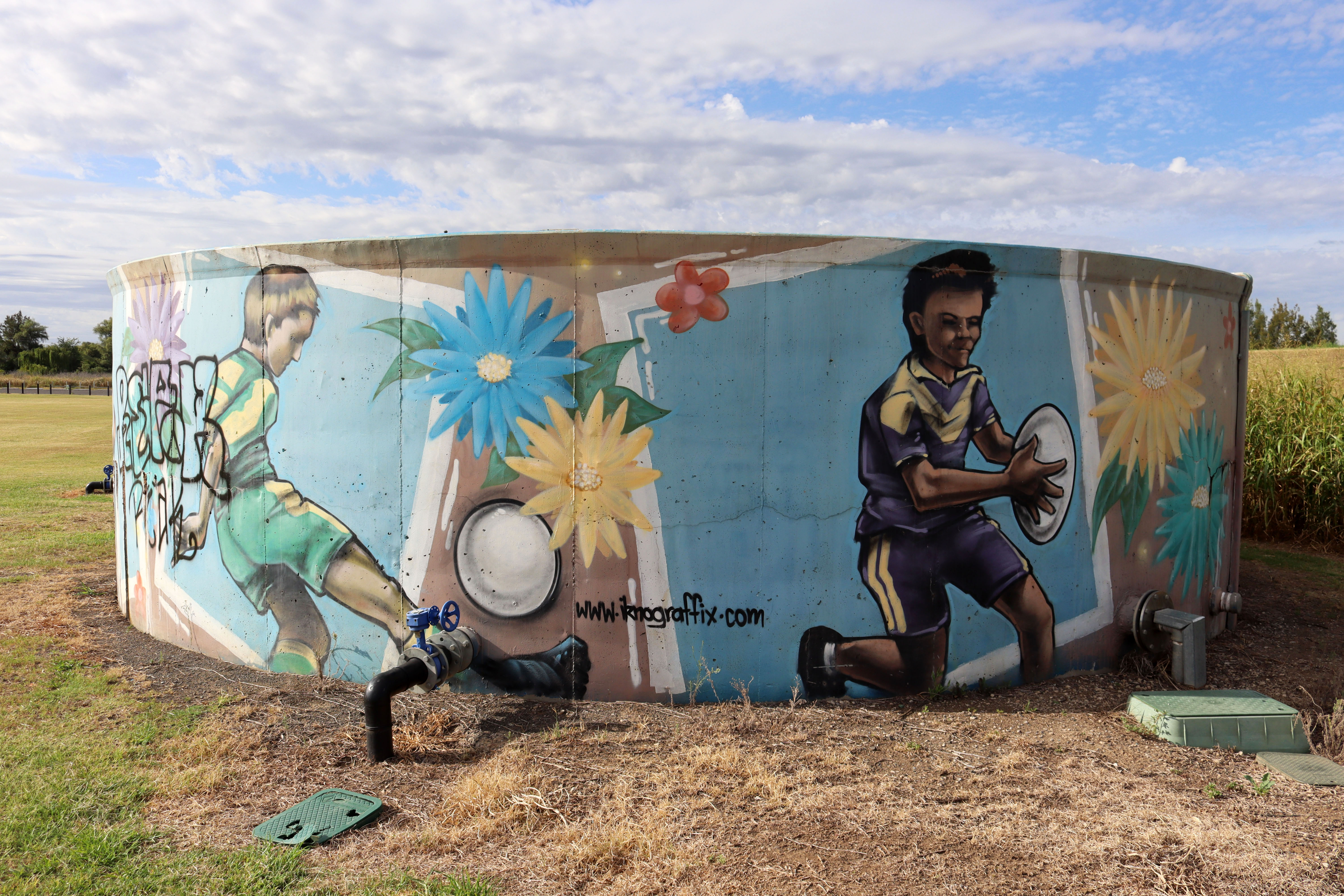 Gipps Street by Iknograffix | Street Art NSW