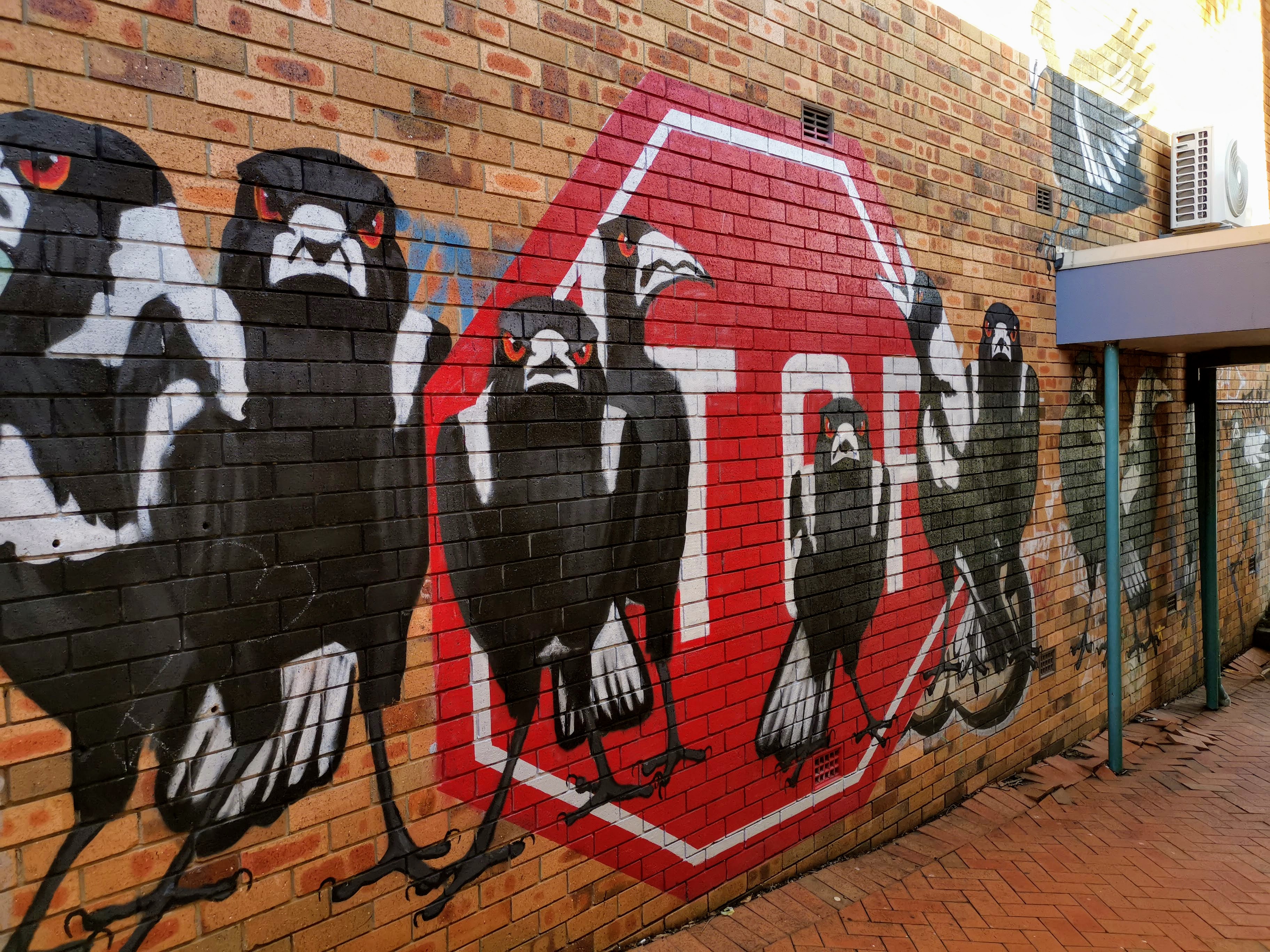 Magpies by Karen Farmer | Street Art NSW