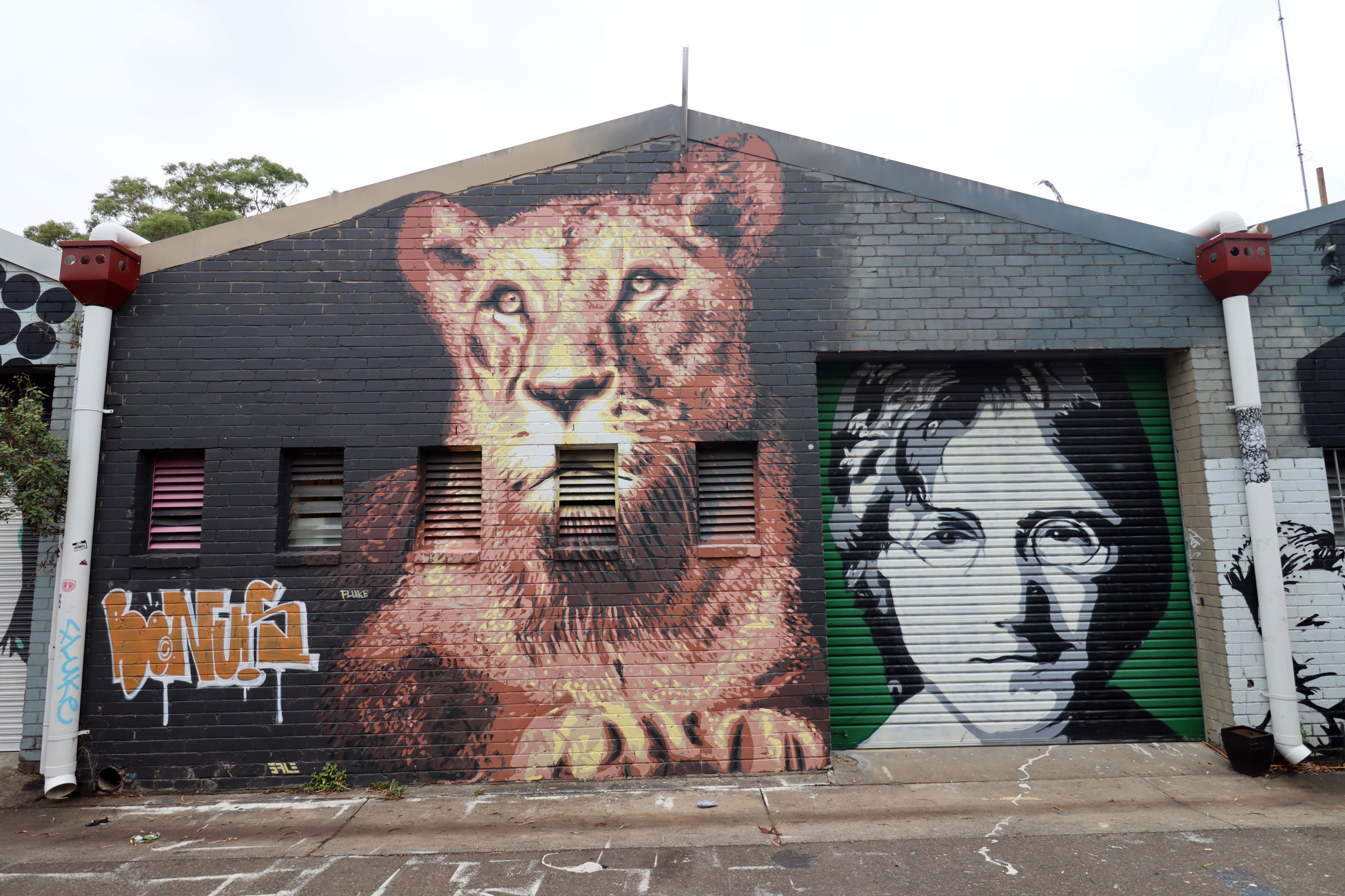 Untitled by Sale Art | Street Art NSW