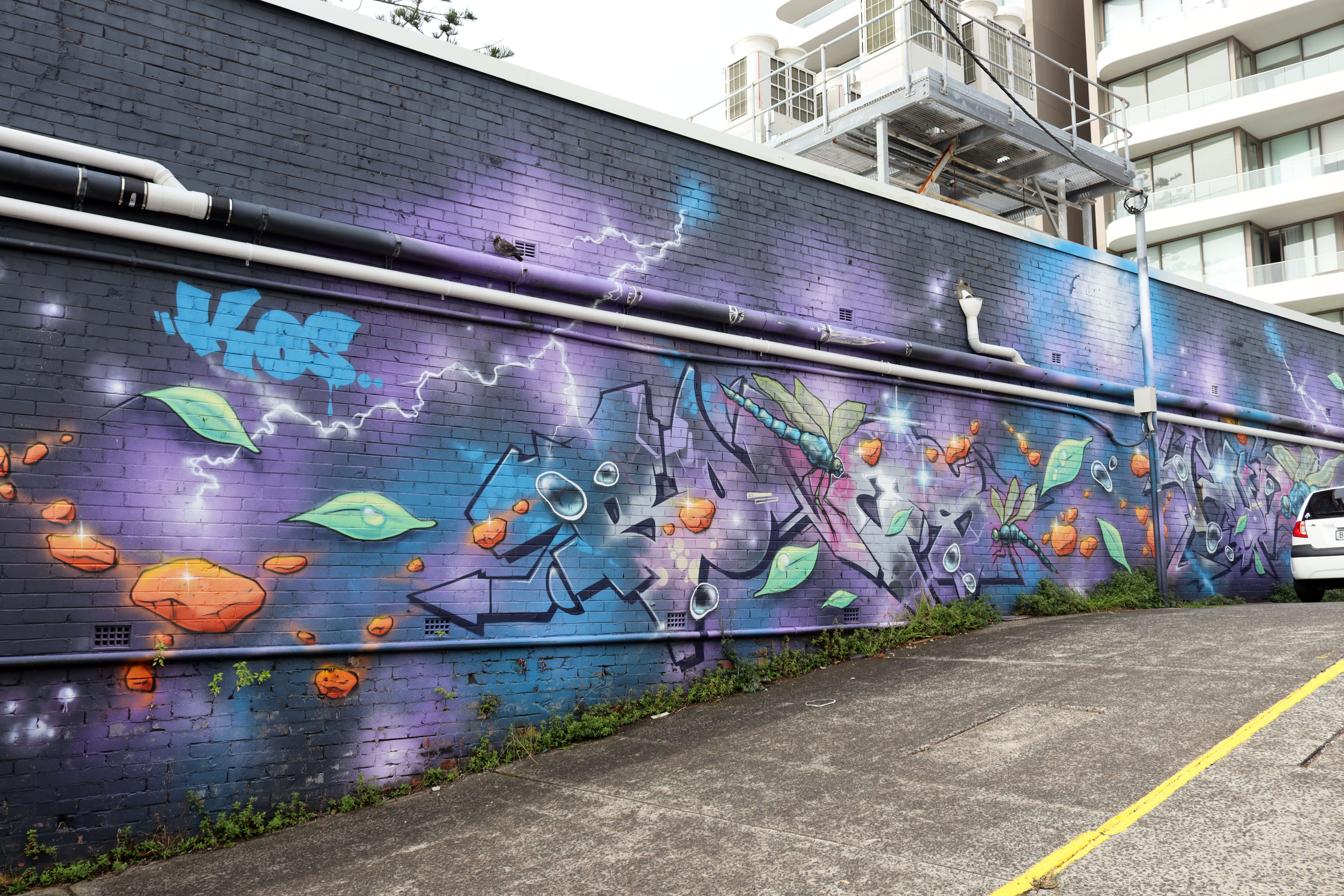 Untitled by PUDL | Street Art NSW