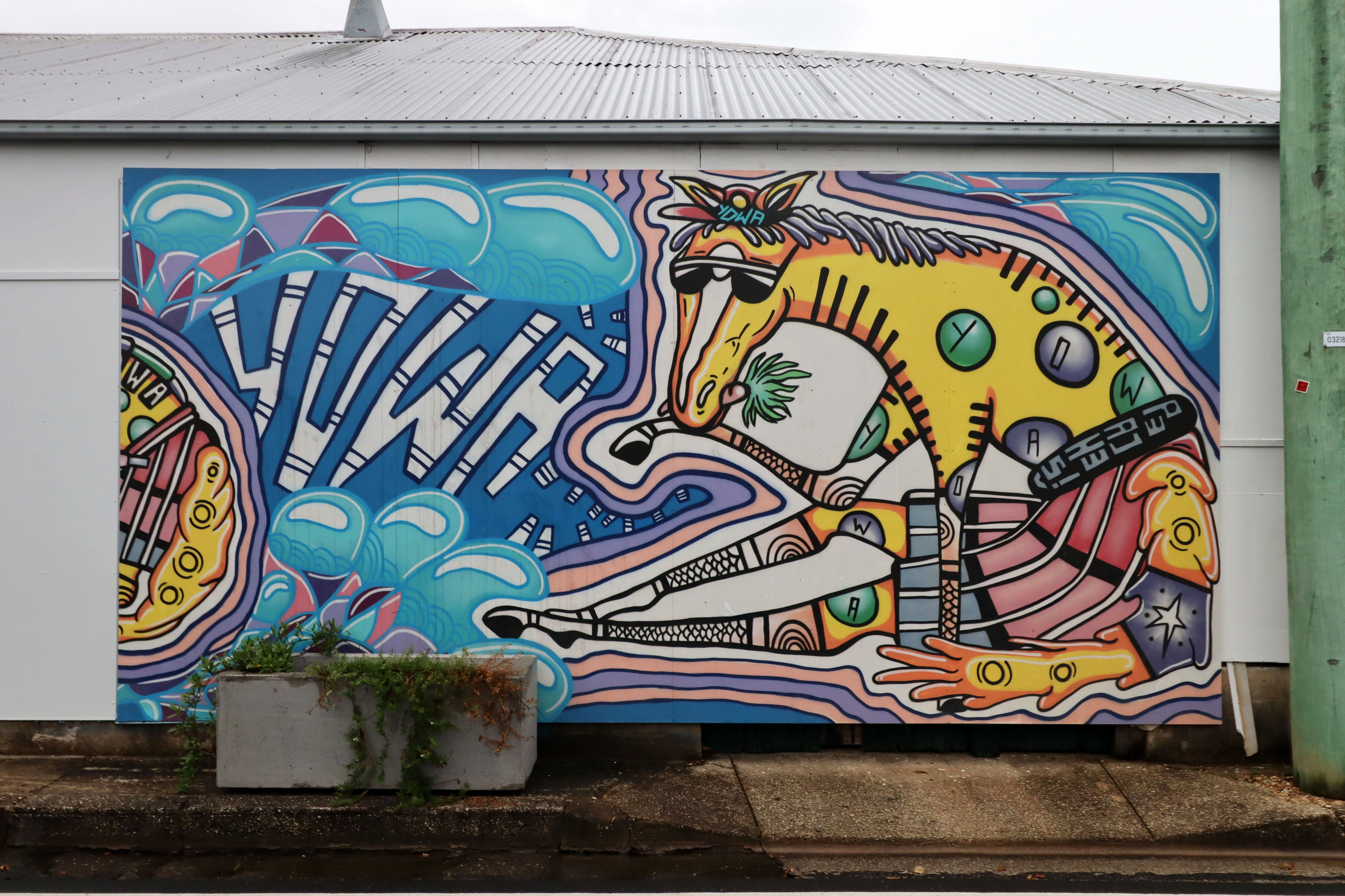 Untitled by YOWA | Street Art NSW