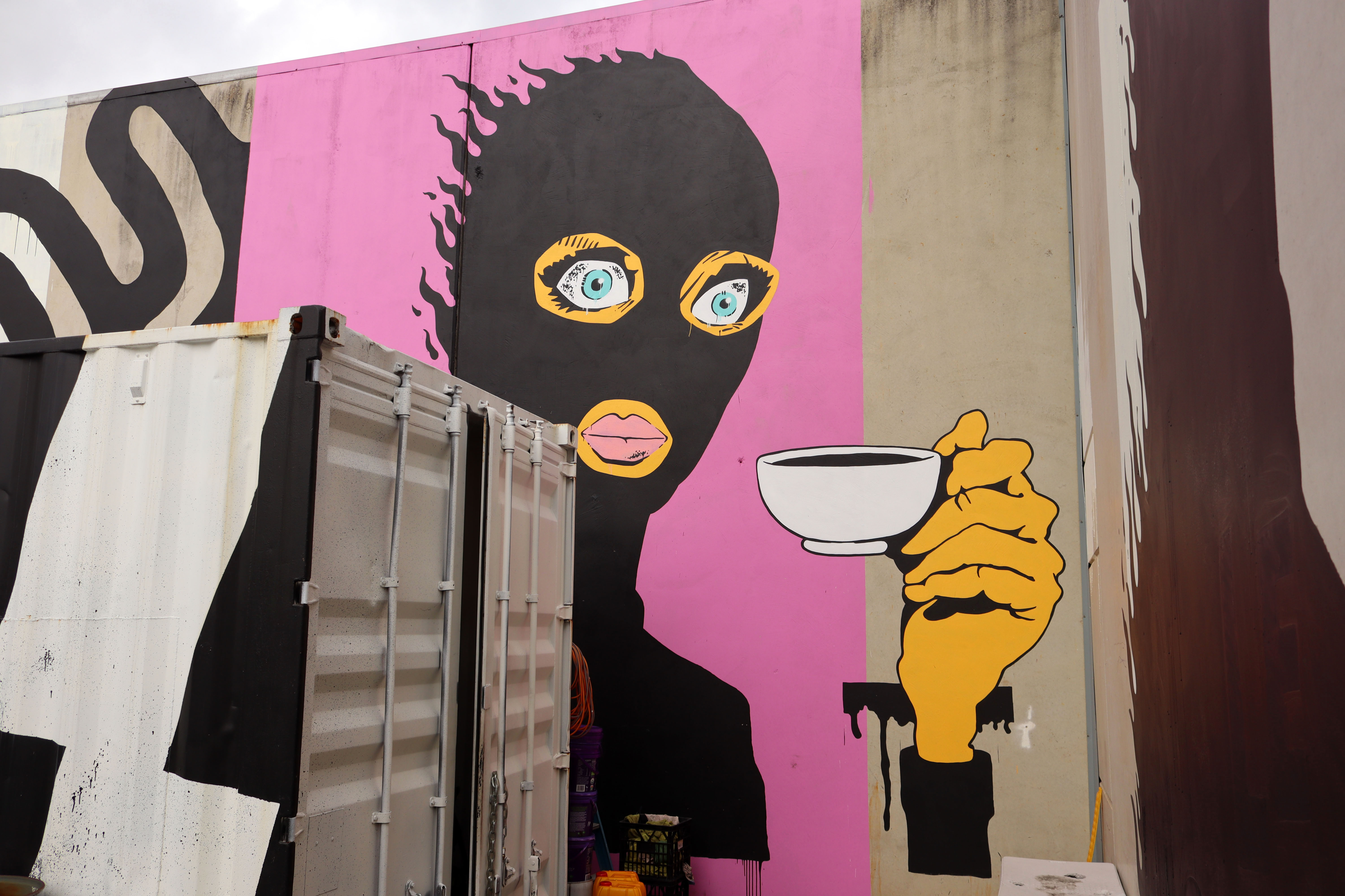 Untitled by Le Grizz | Street Art NSW