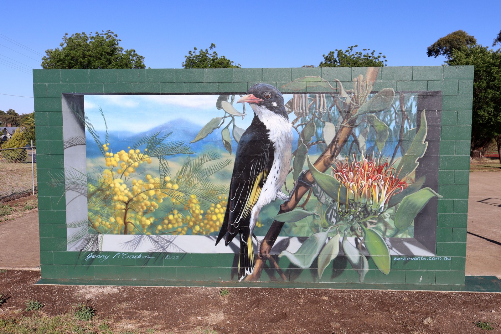 Painted Honeyeater by Jenny McCracken | Street Art NSW