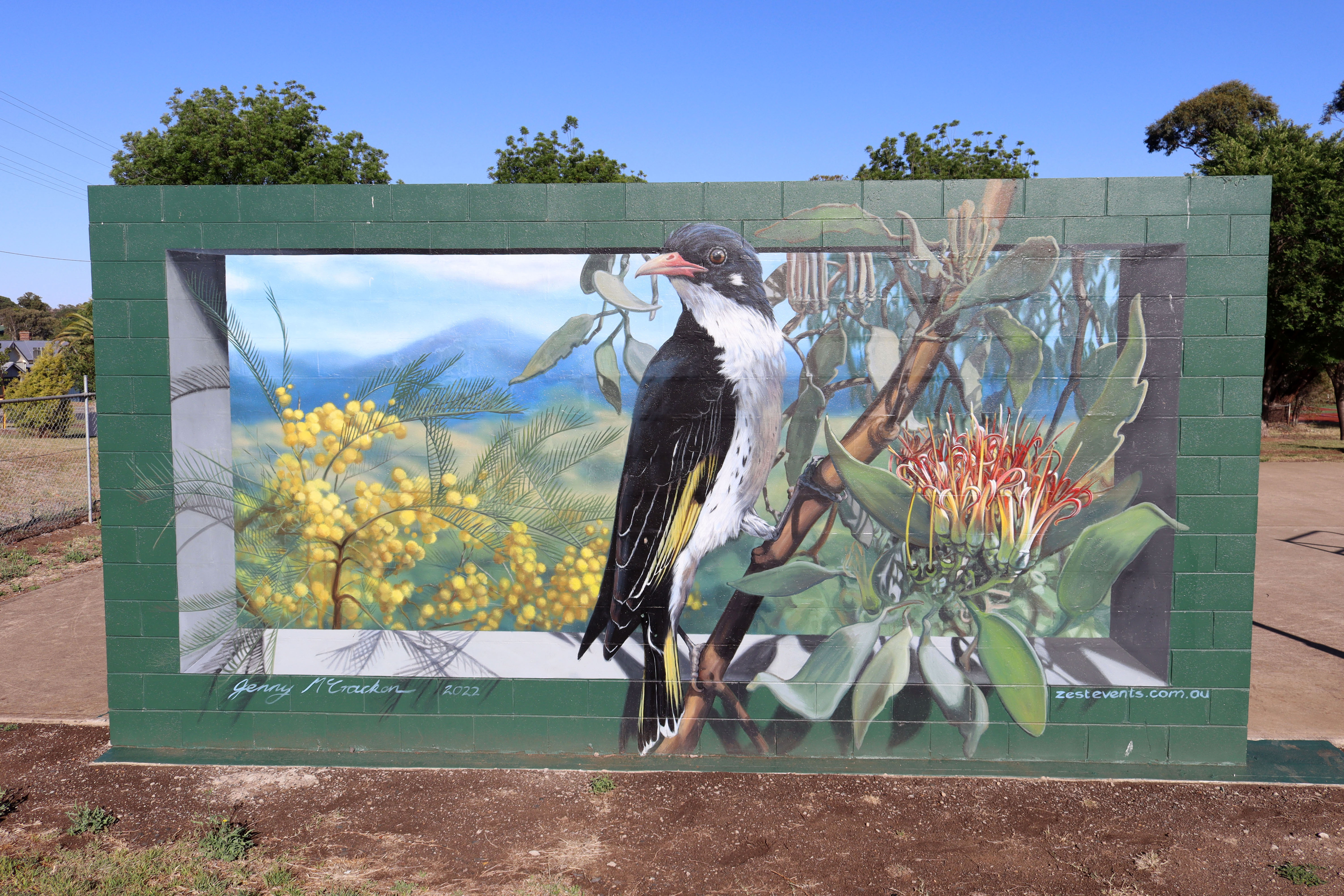 Painted Honeyeater by Jenny McCracken | Street Art NSW