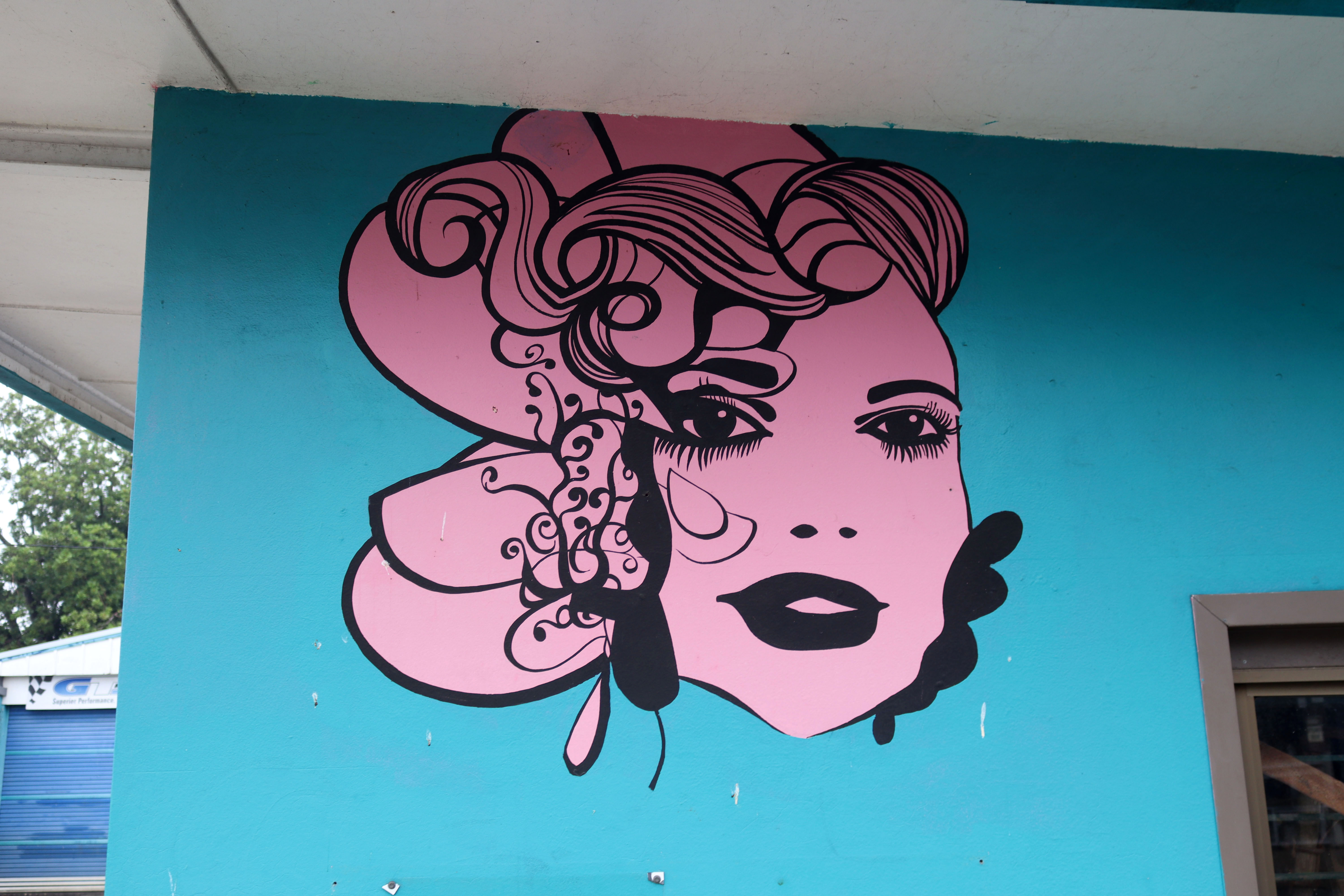 Untitled | Street Art NSW