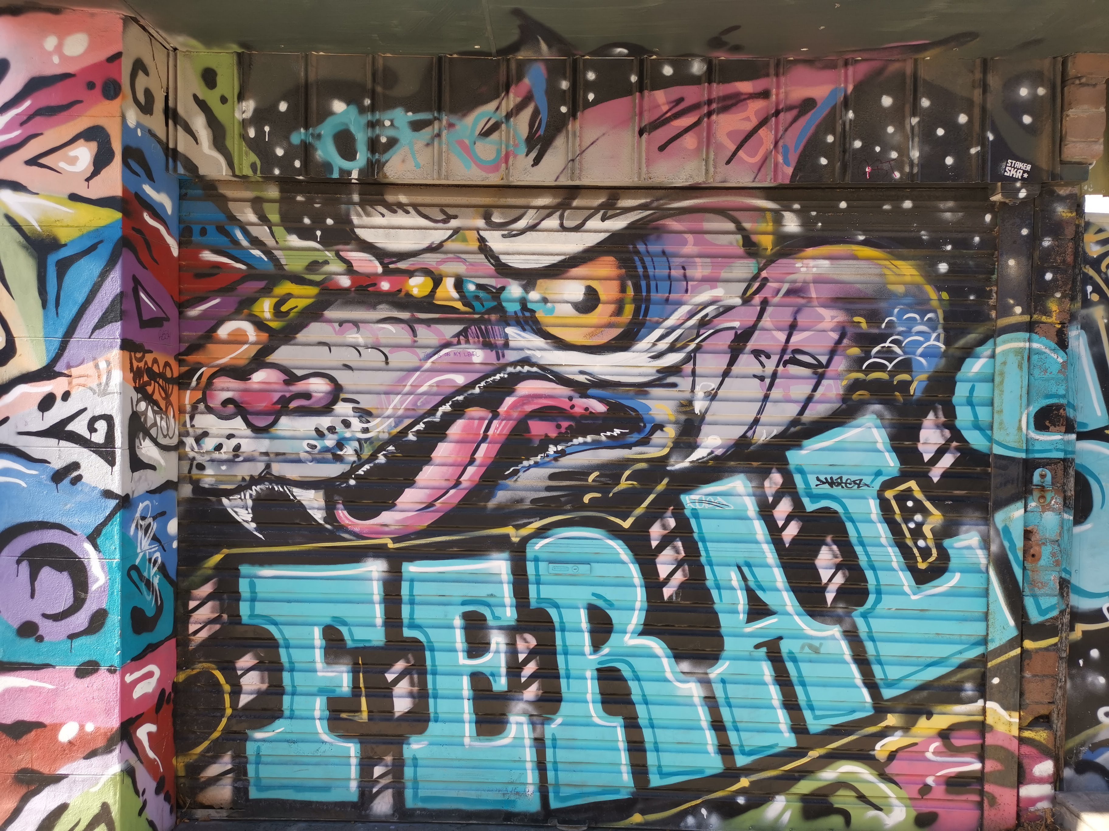 Ferals | Street Art NSW