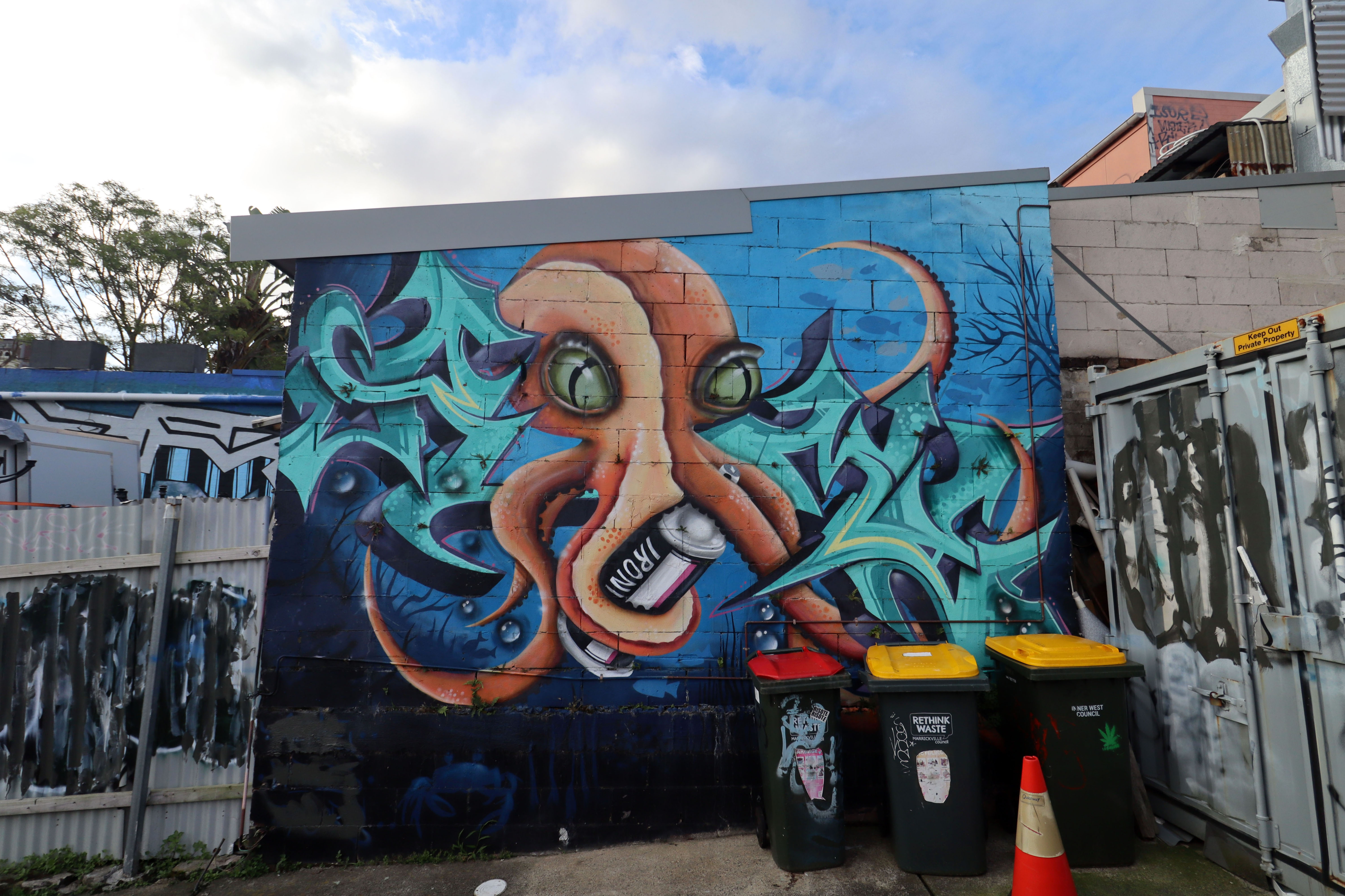 Untitled | Street Art NSW