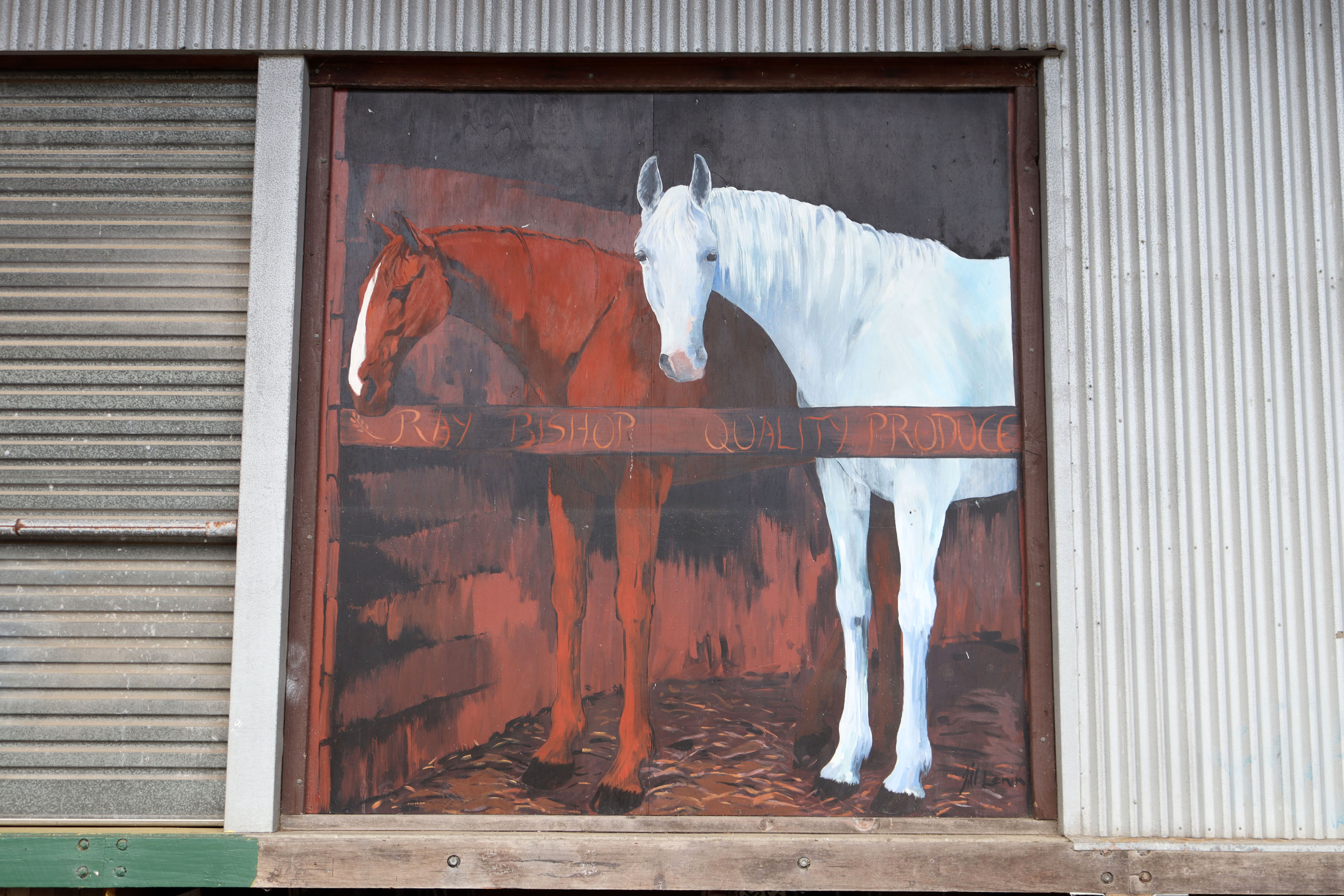 El Horses | Street Art NSW