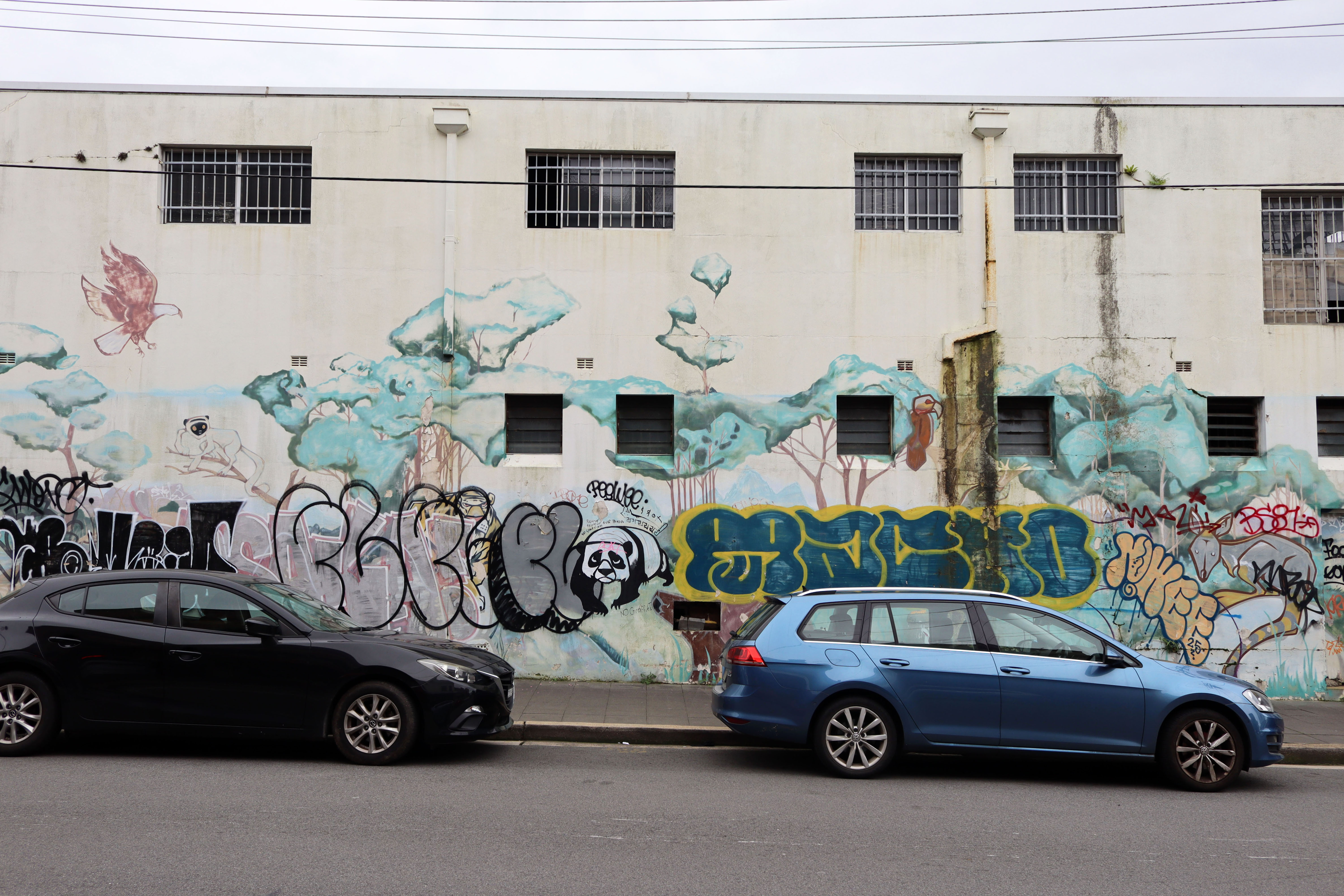 Untitled | Street Art NSW