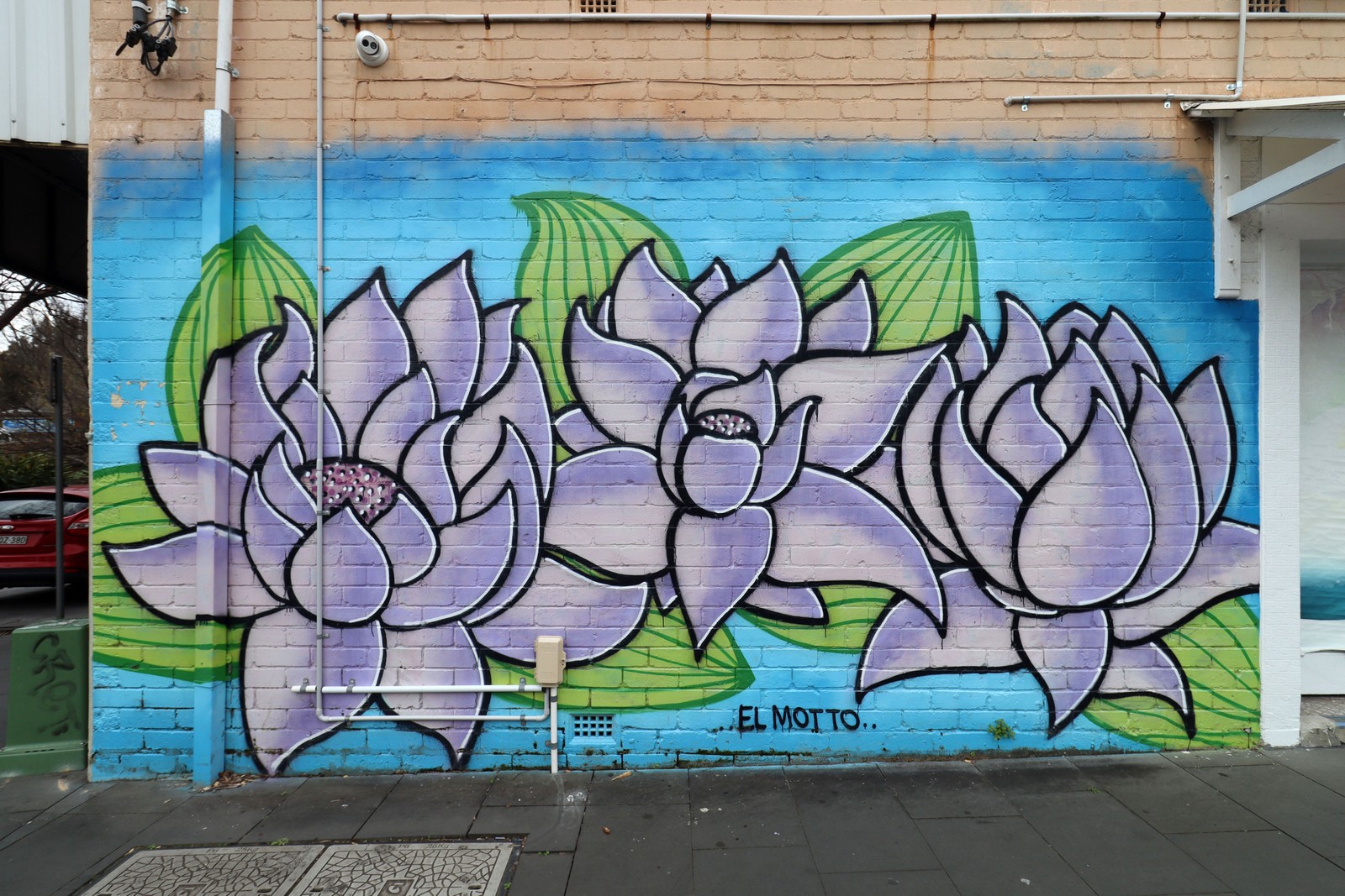 Untitled by El Motto | Street Art NSW