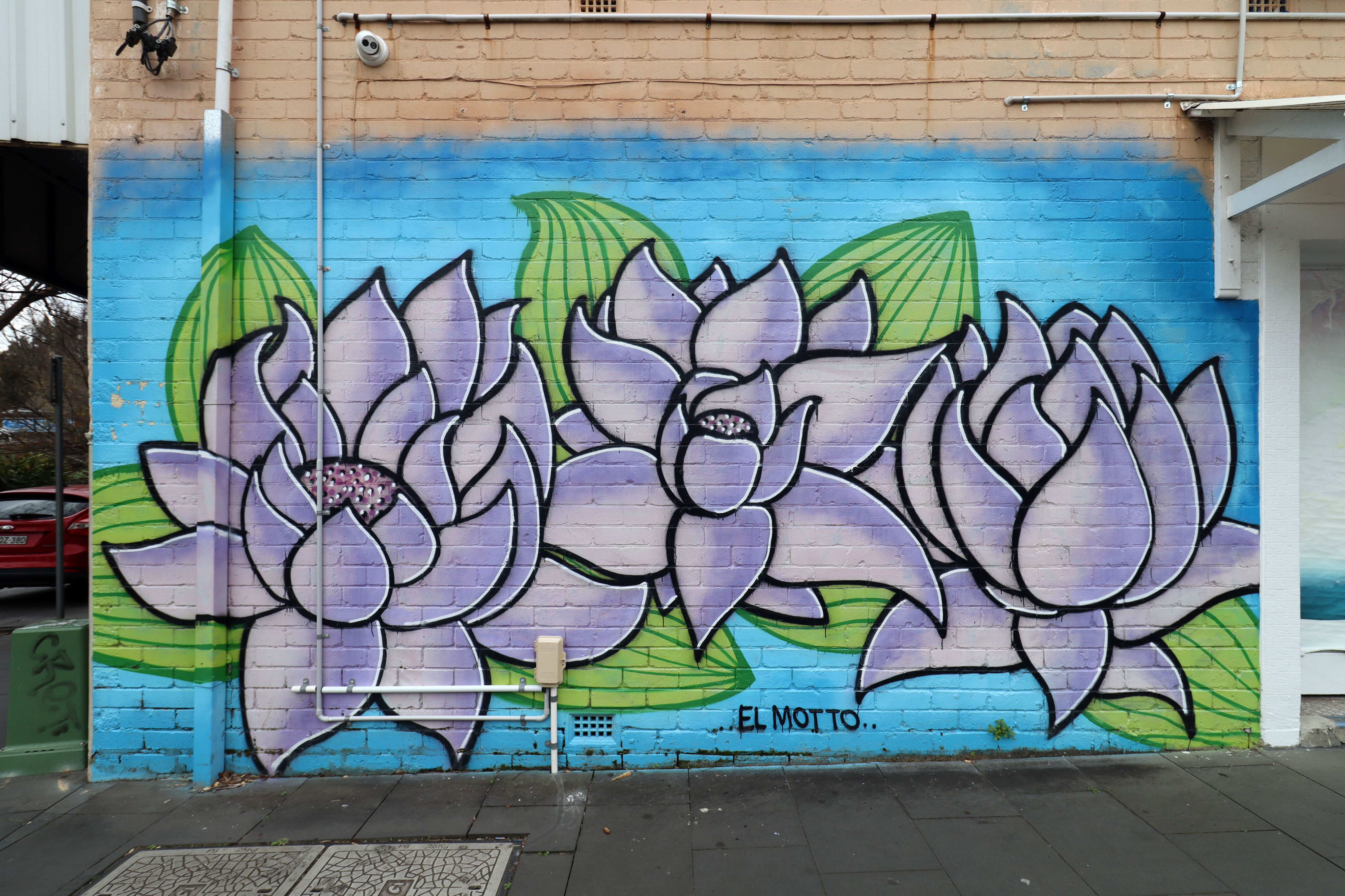 Untitled by El Motto | Street Art NSW