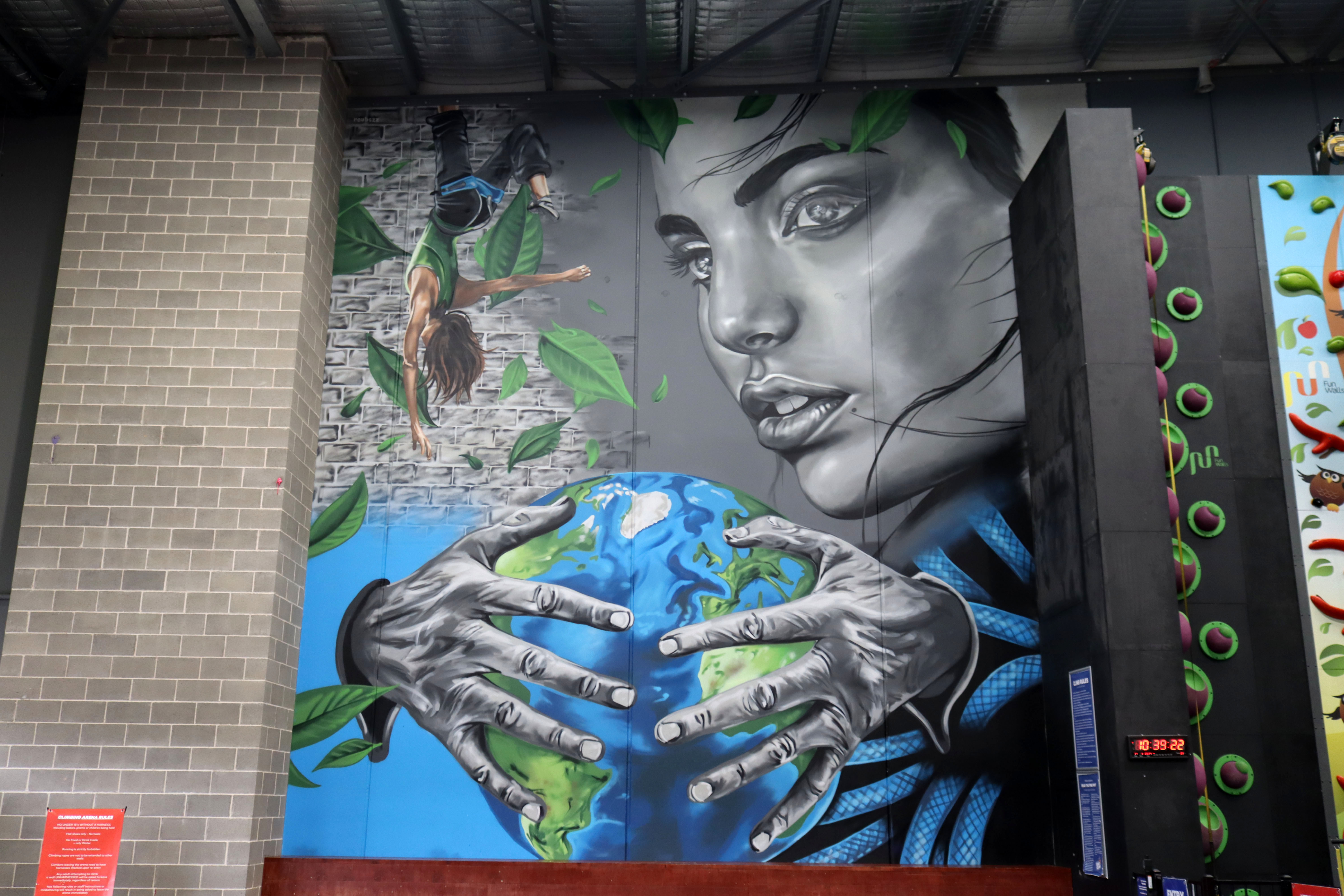 Untitled by Reubszz | Street Art NSW