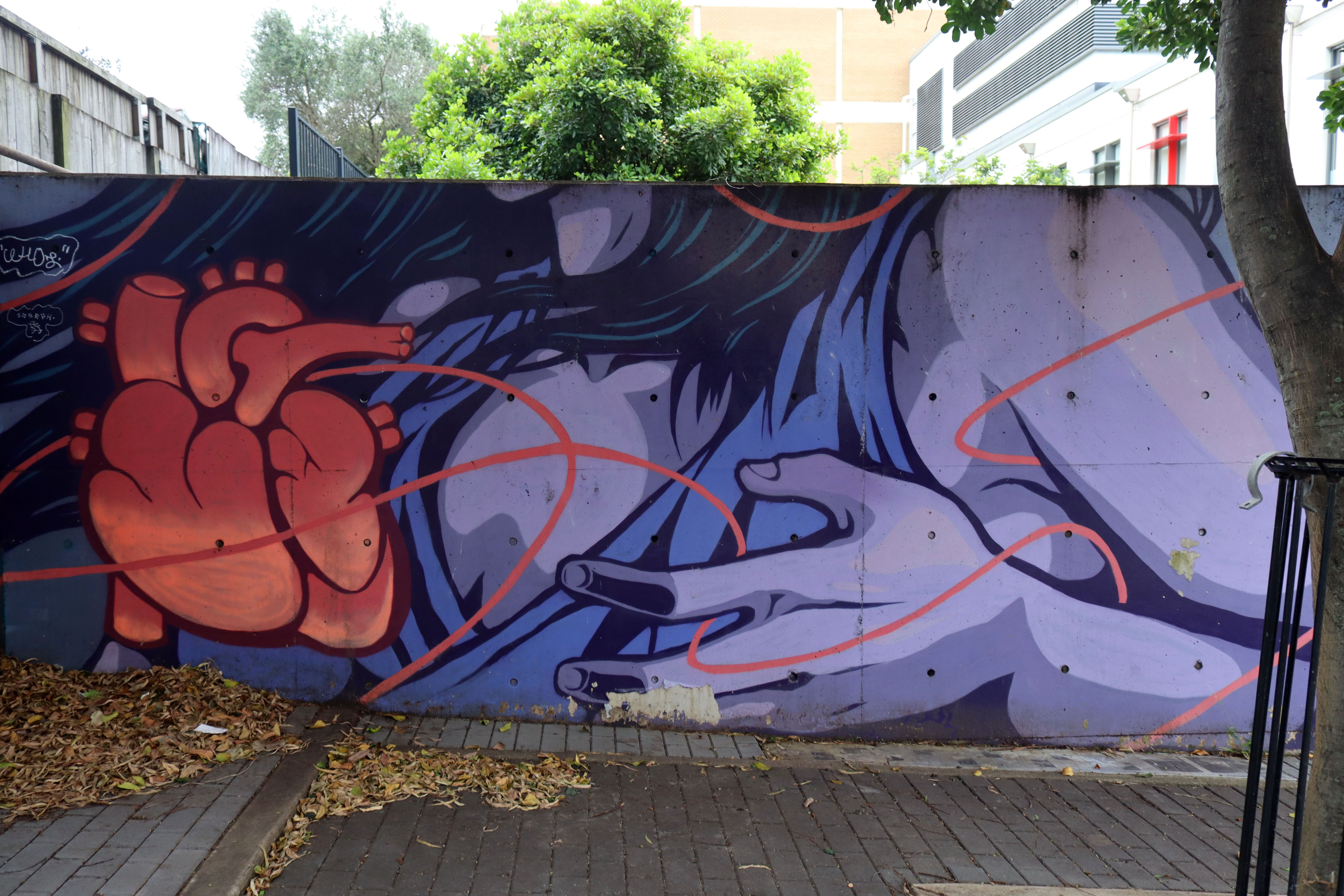 Untitled by The OX King | Street Art NSW