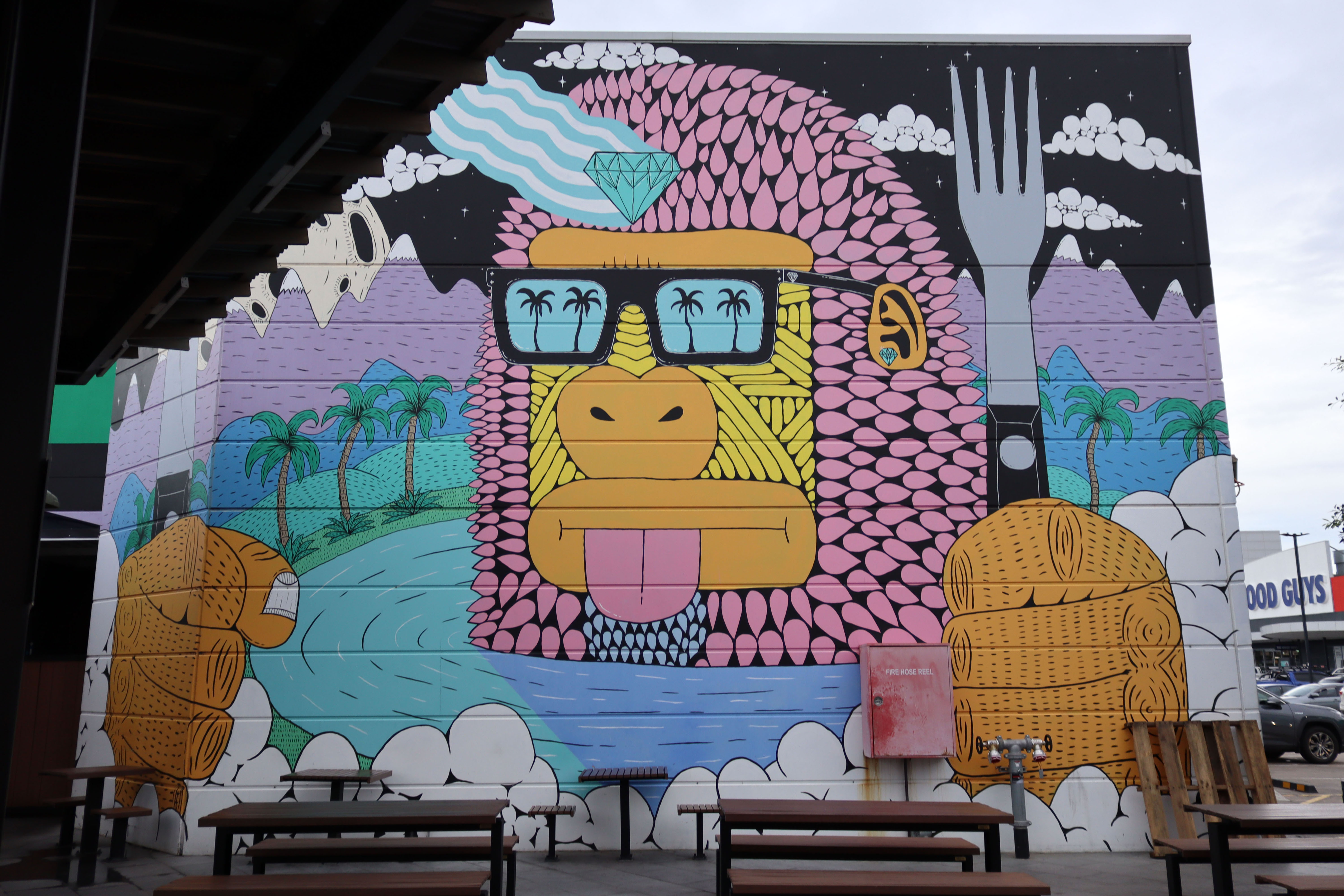 Reservoir Ray by Mulga | Street Art NSW