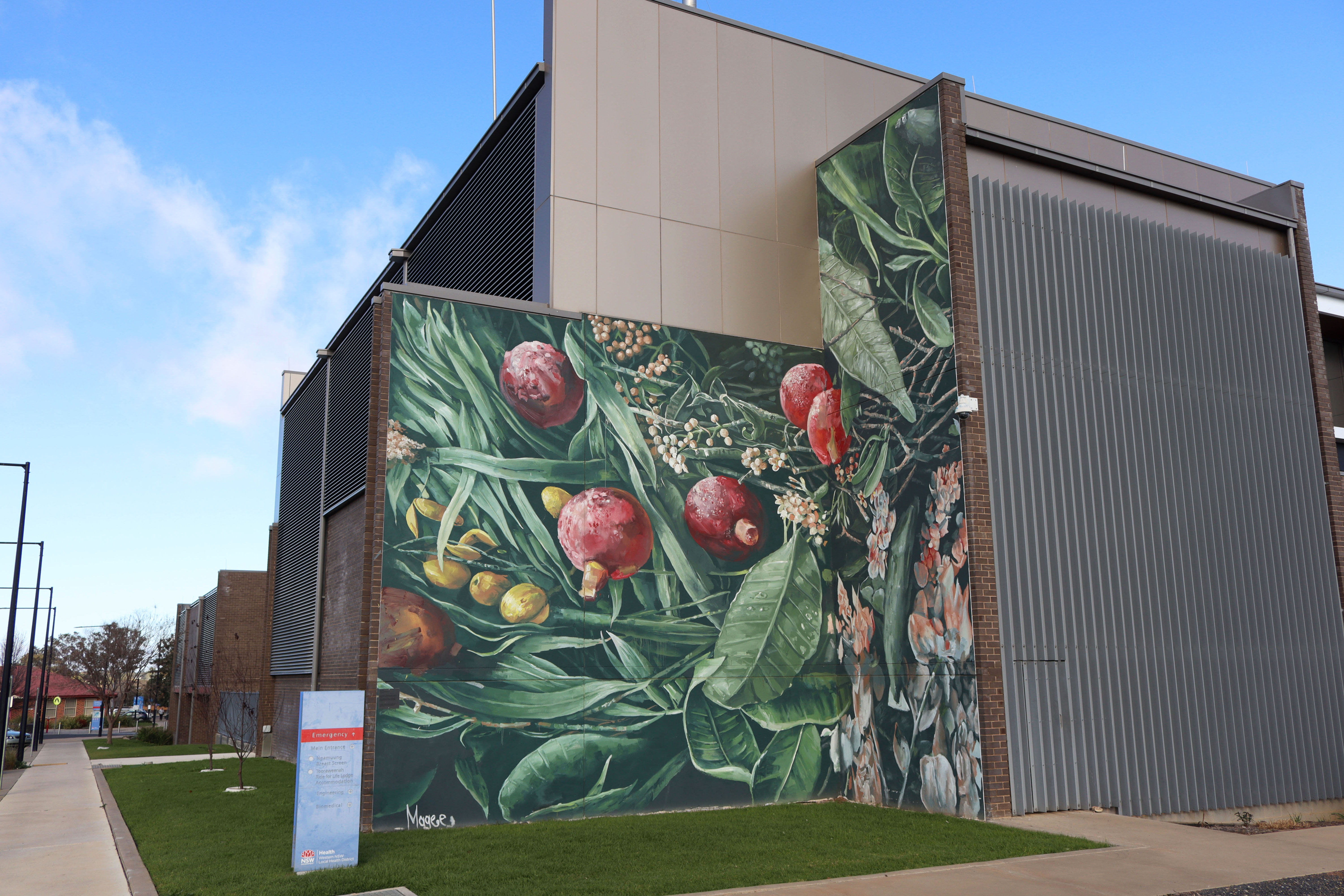 Still Life With Bushfoods by Fintan Magee | Street Art NSW