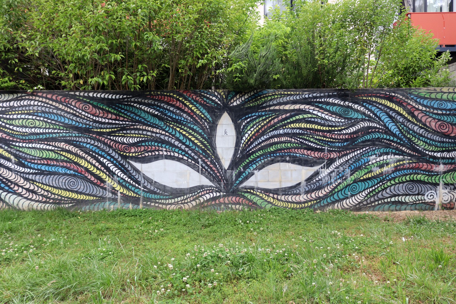 Untitled by Fergus | Street Art NSW