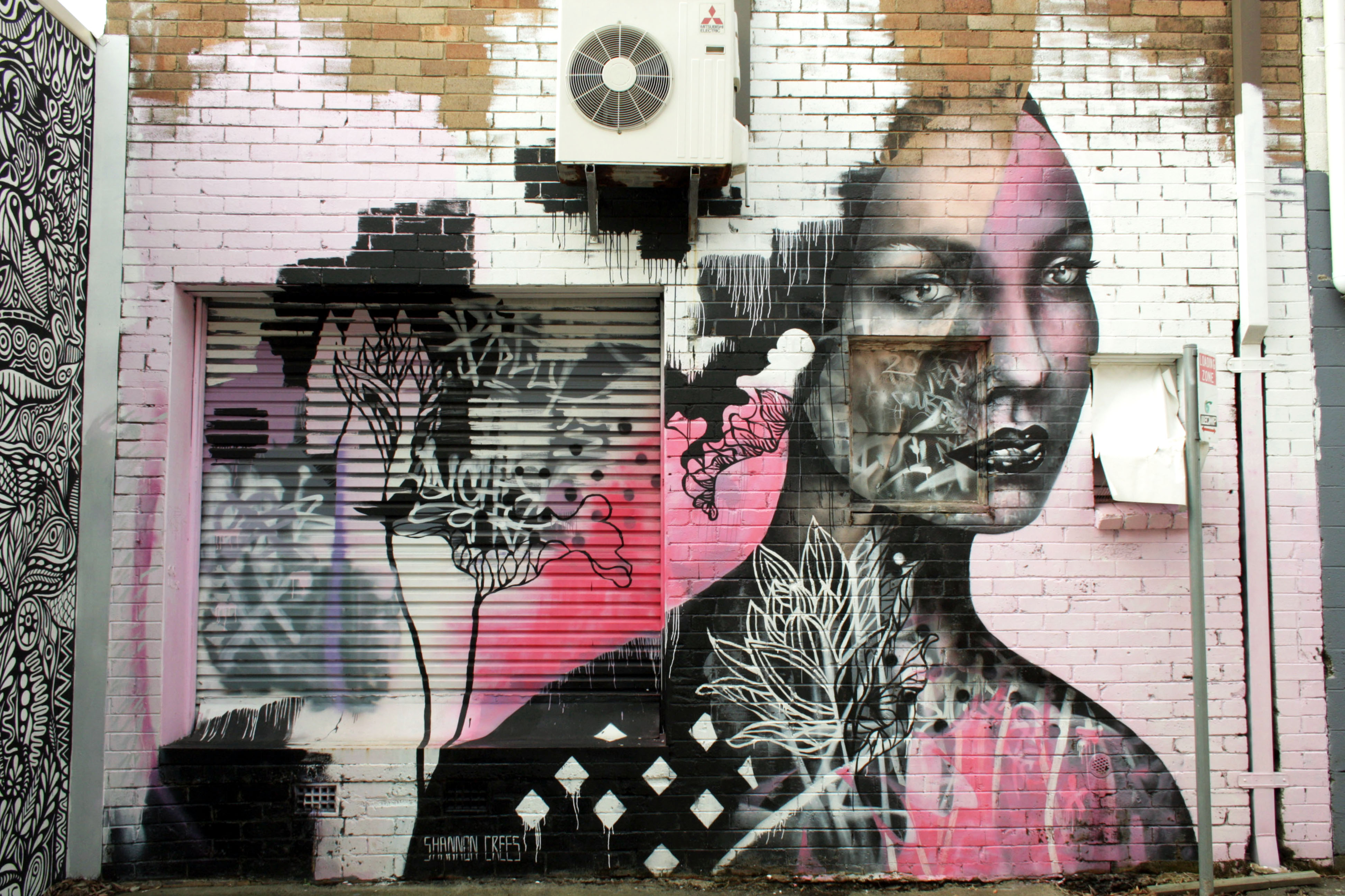 Untitled by Shannon Crees | Street Art NSW