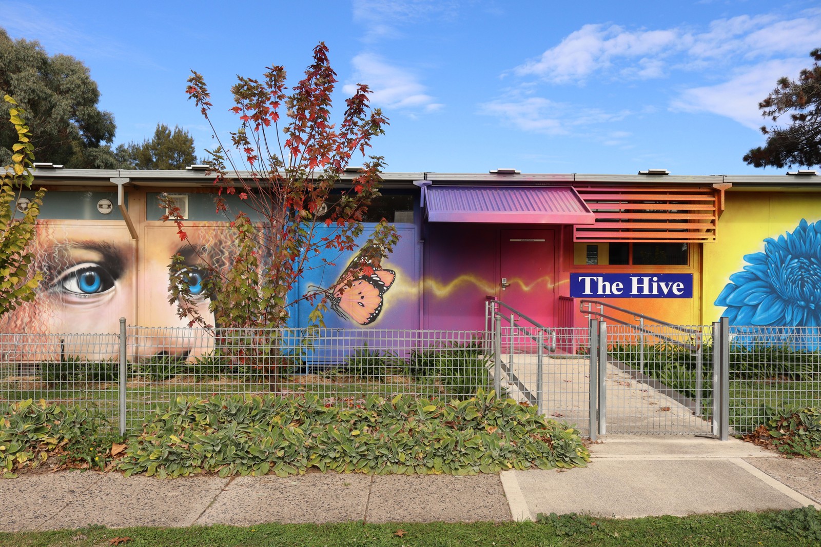 The Butterfly Whisperer by Nitsua | Street Art NSW