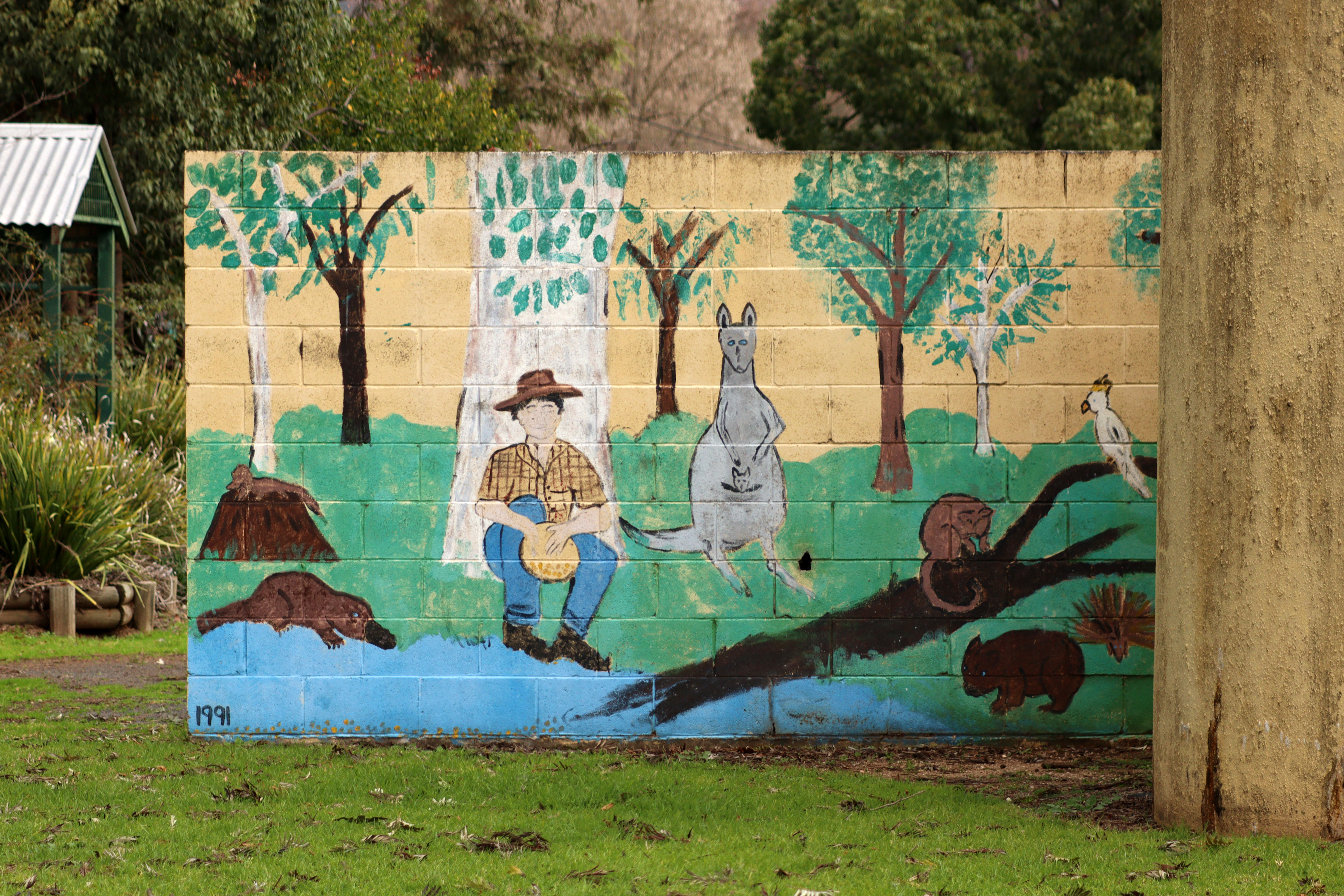 Untitled | Street Art NSW