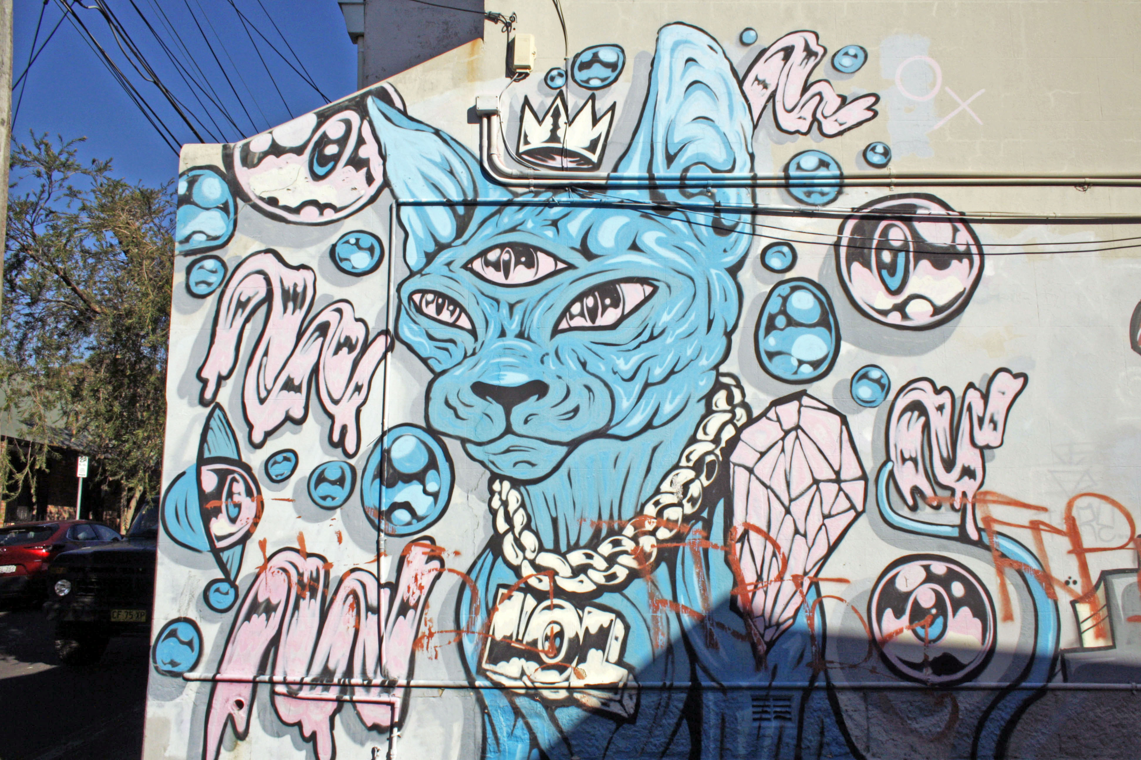 Space Cat