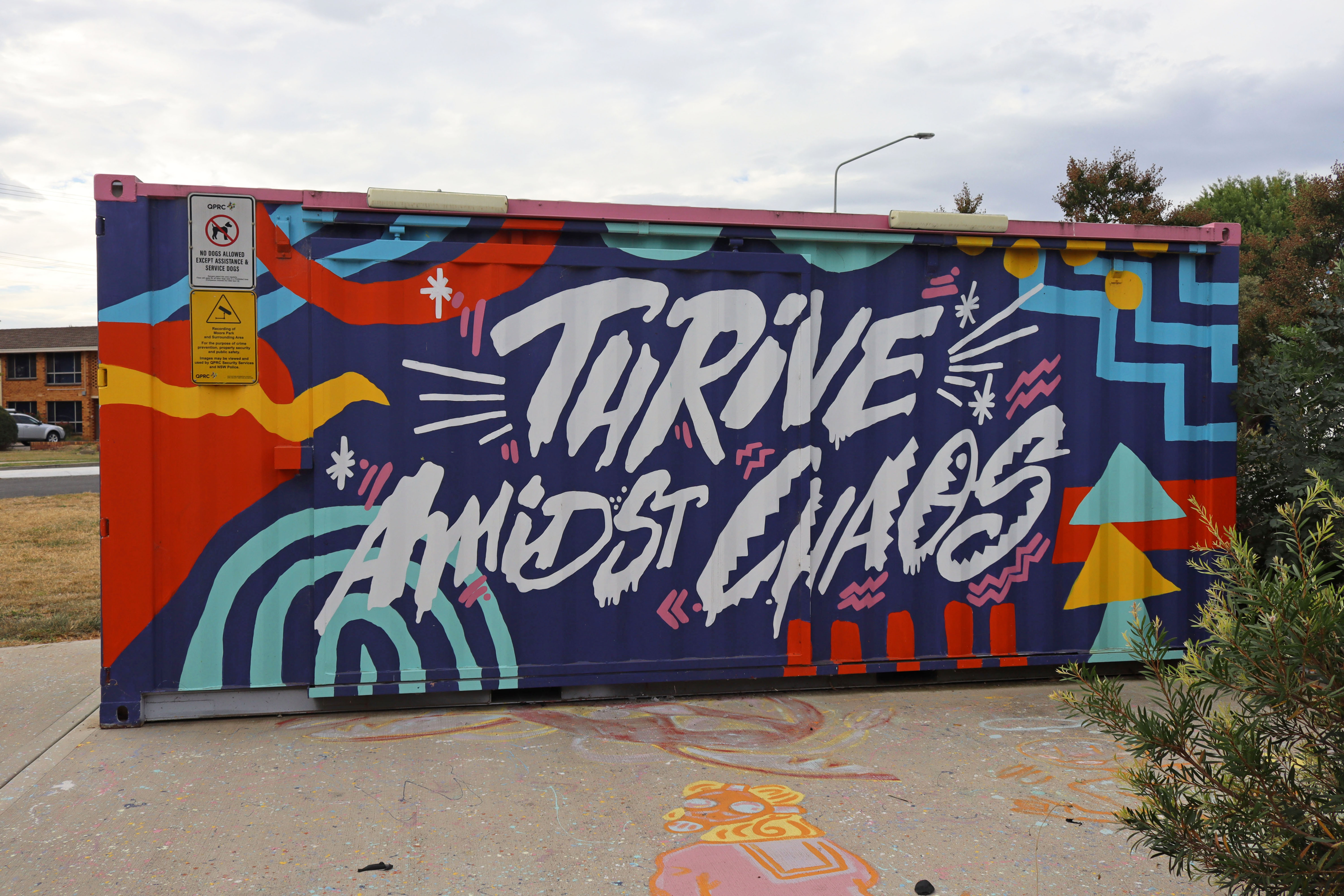 Thrive Amidst Chaos/Platypus