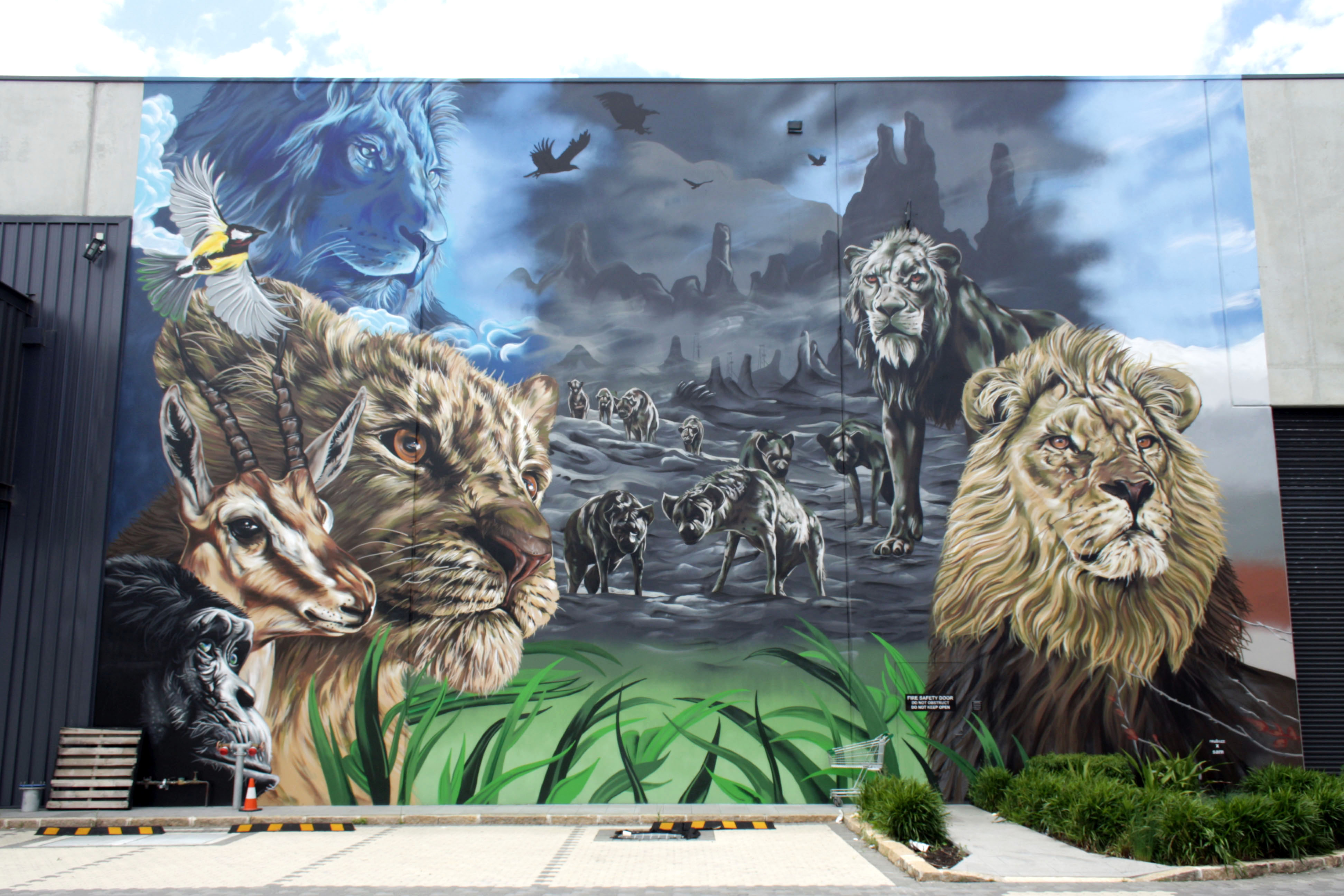 The Lion King by Reubszz | Street Art NSW
