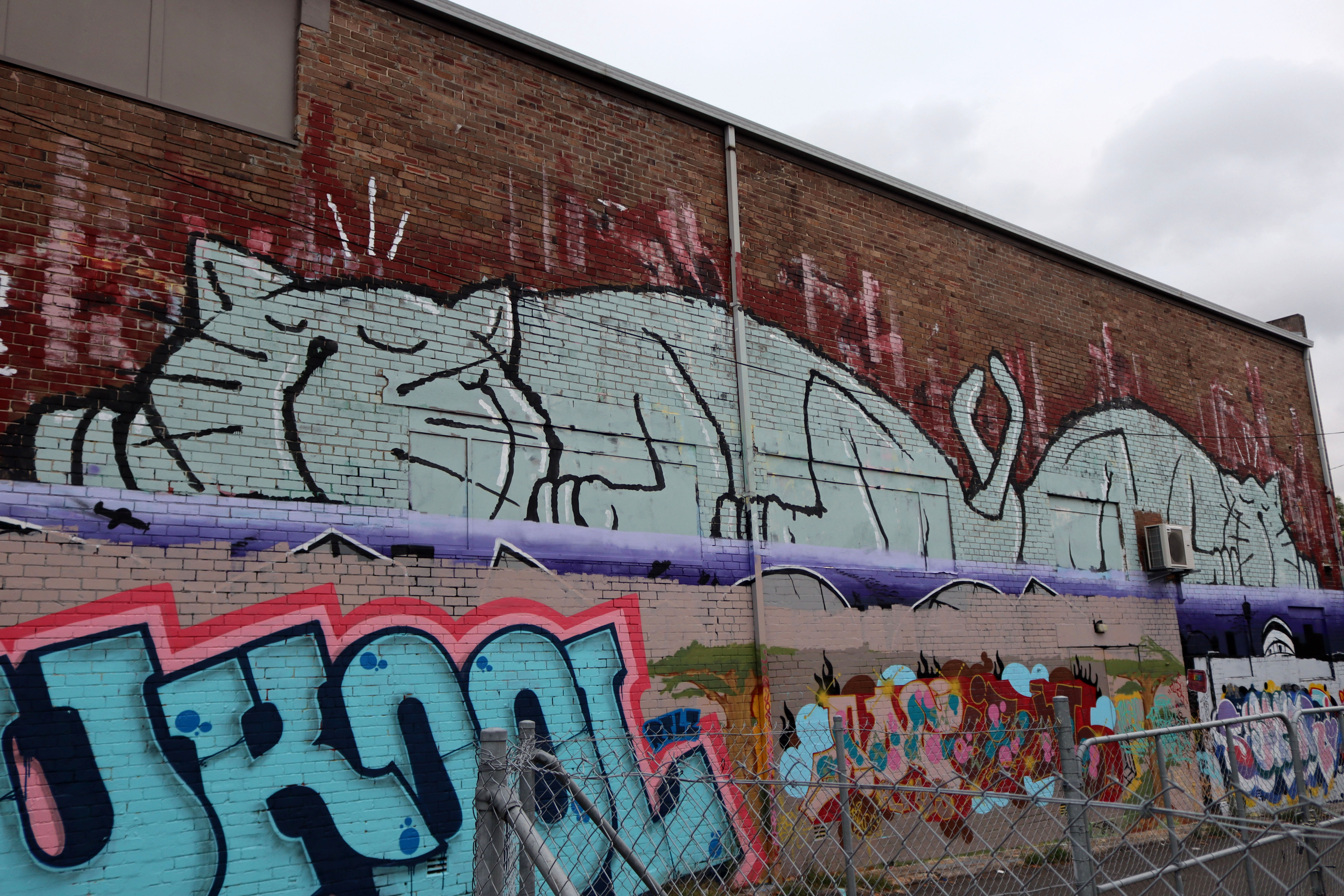 Blue Cats
