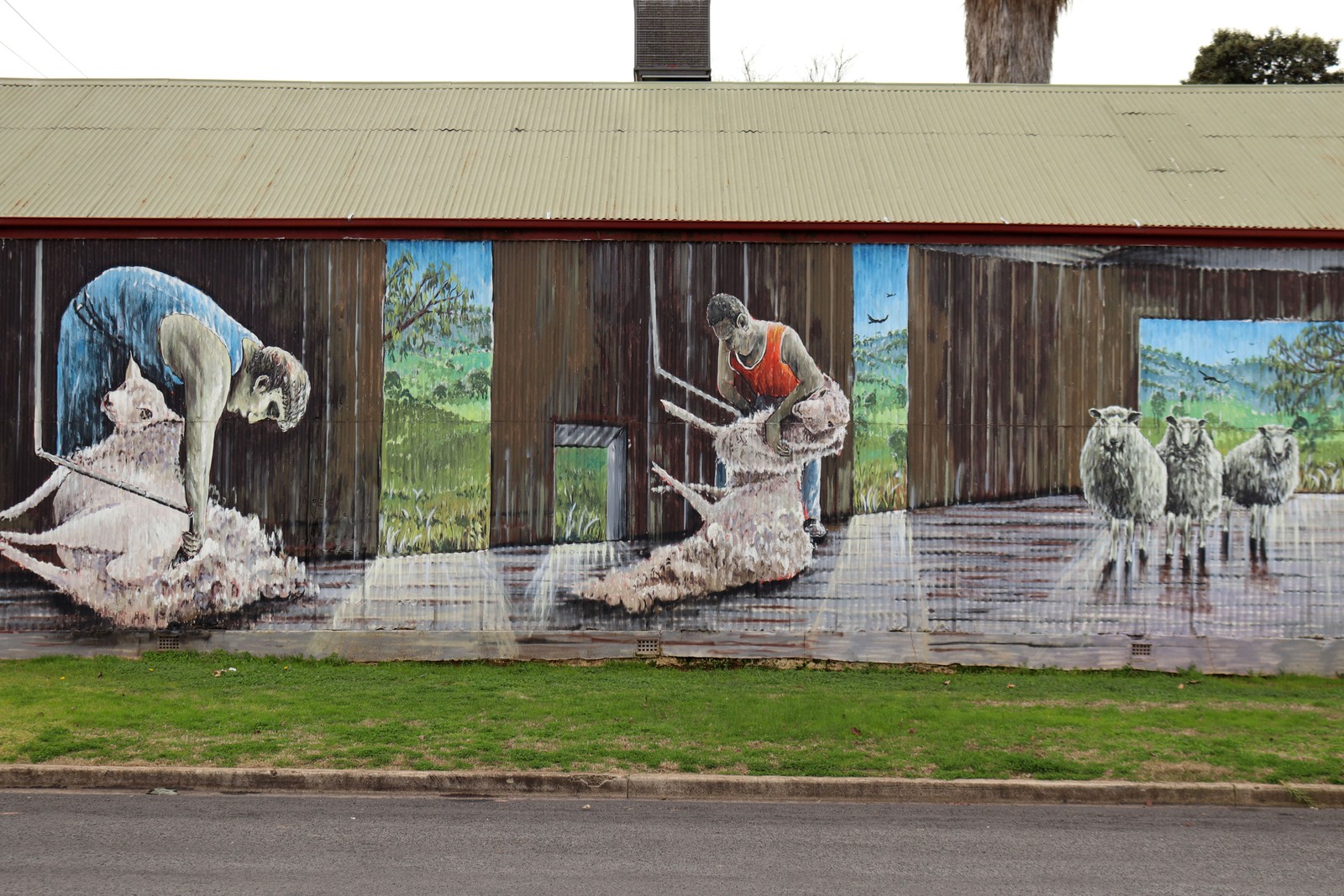 Shearing Mural by Simon White | Street Art NSW