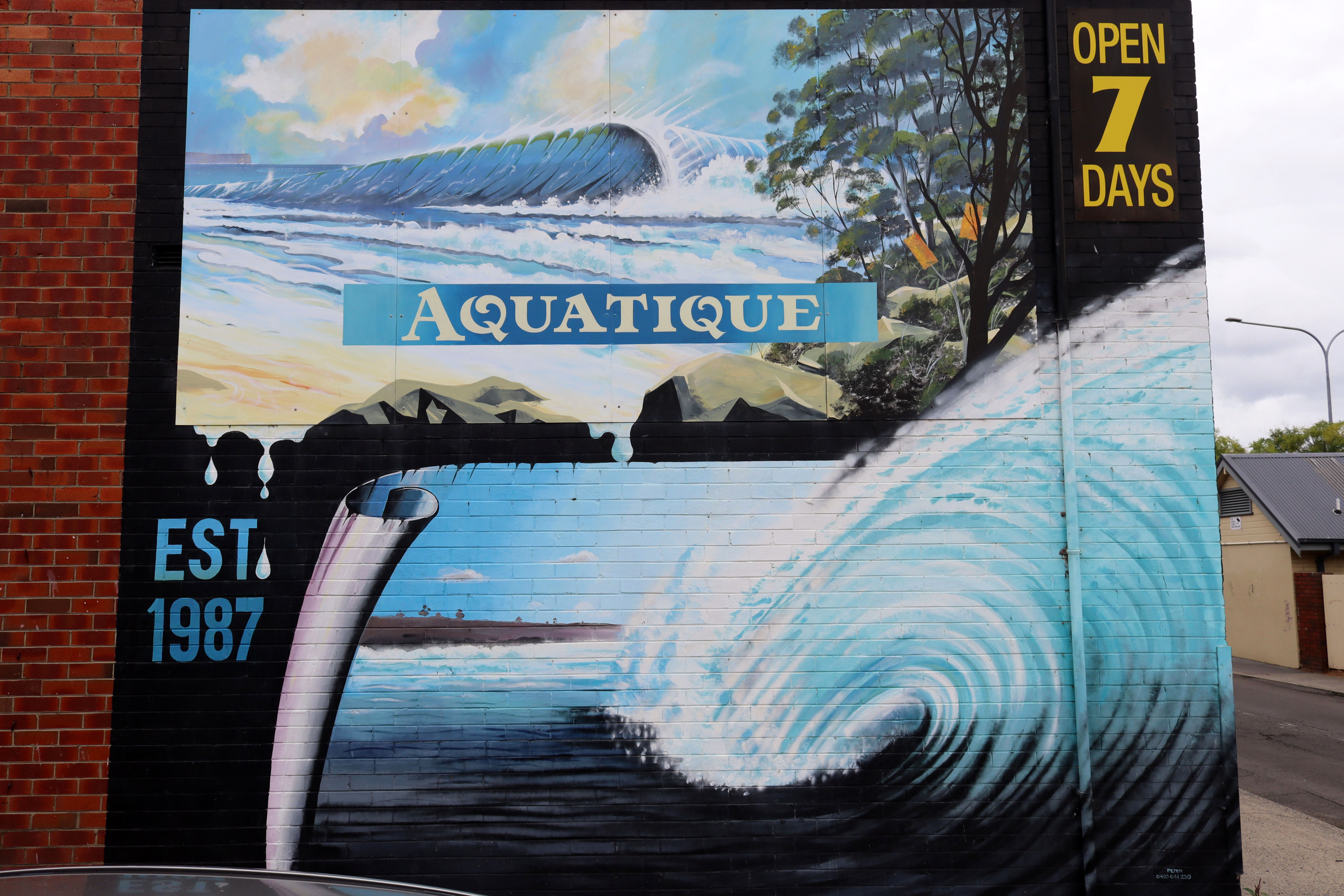 Aquatique by Peter Crossman | Street Art NSW