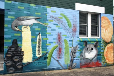 Native Plants' Blossoms and Creatures