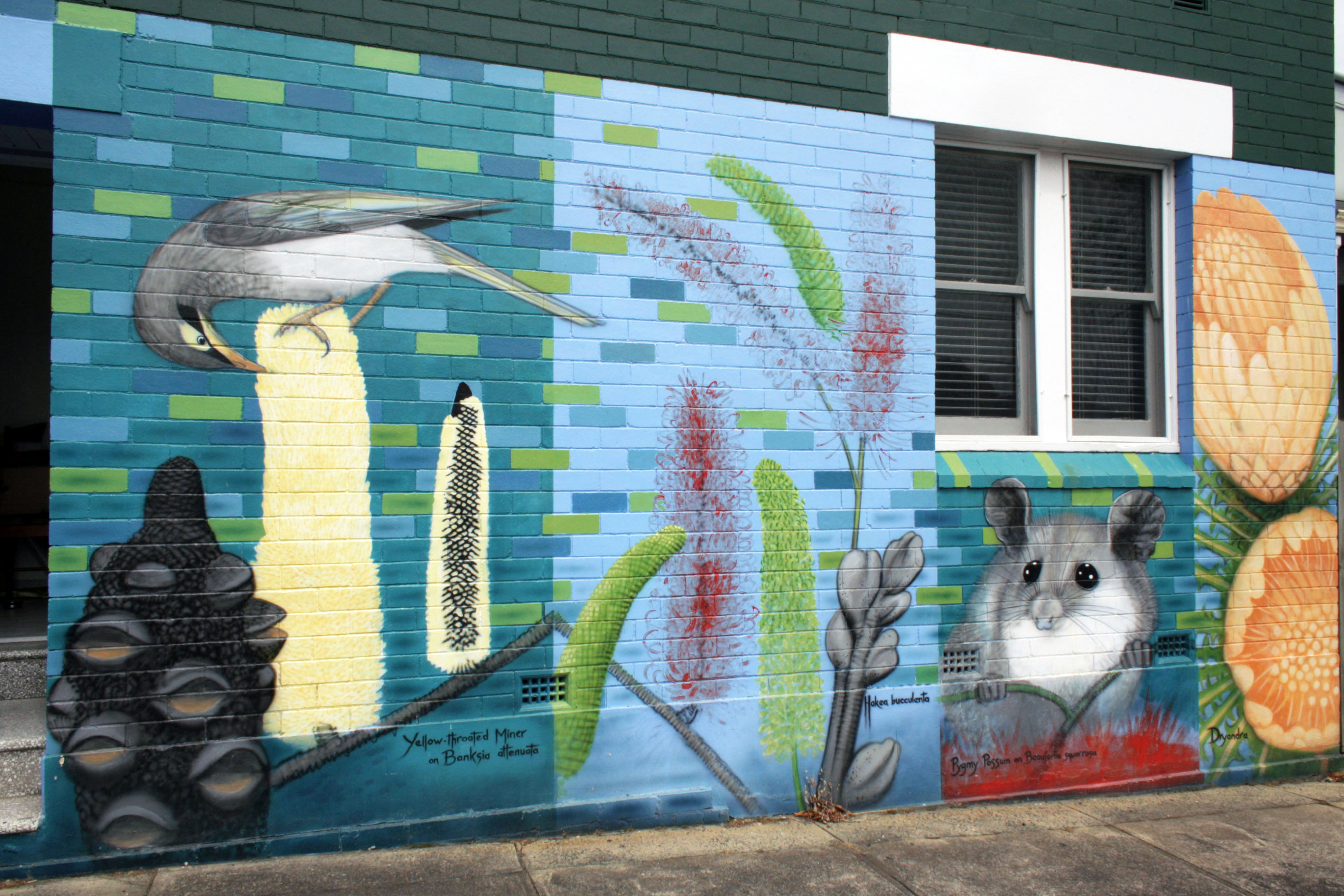 Native Plants' Blossoms and Creatures by Robin Martin | Street Art NSW