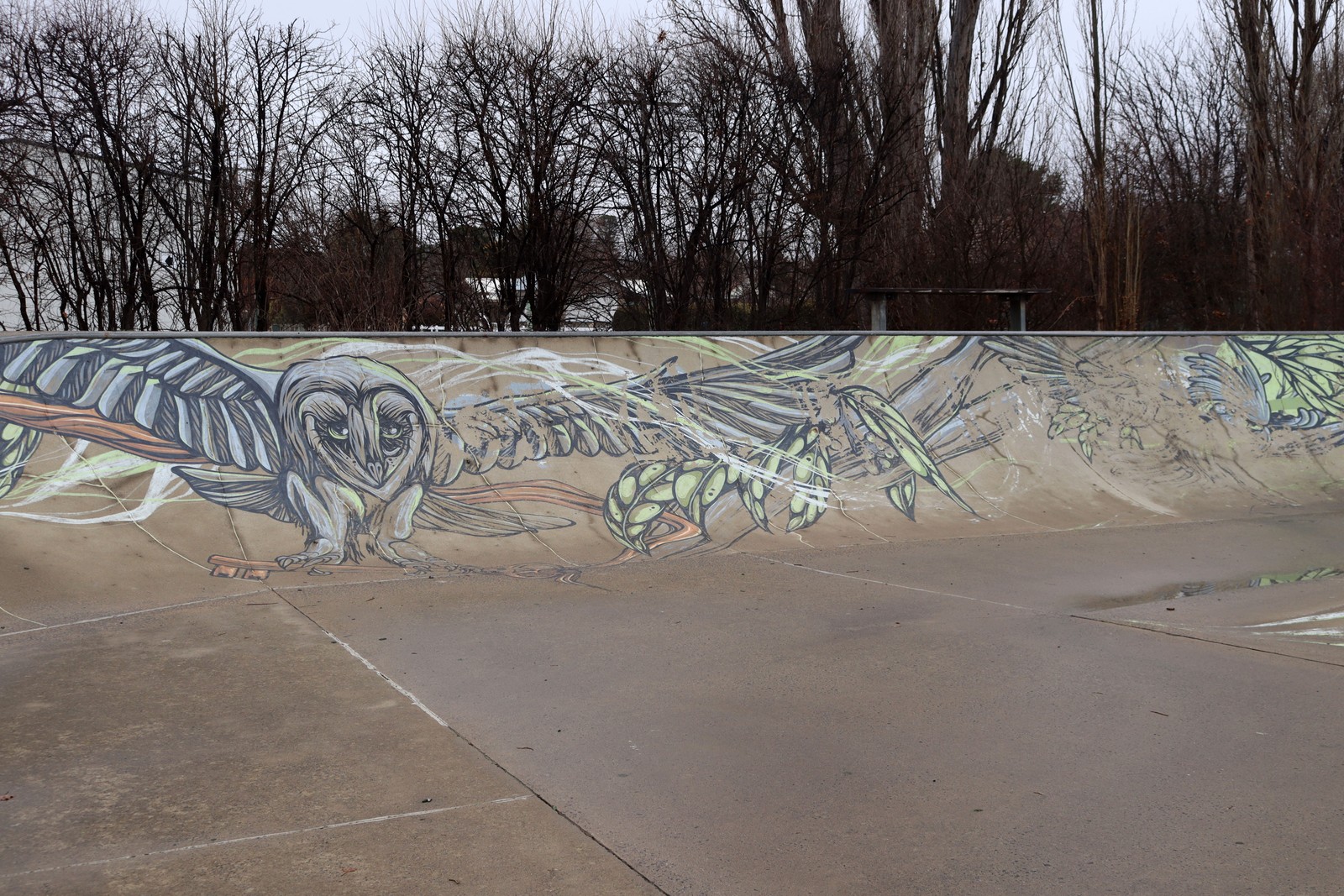 Berridale Skatepark by Mike Shankster | Street Art NSW