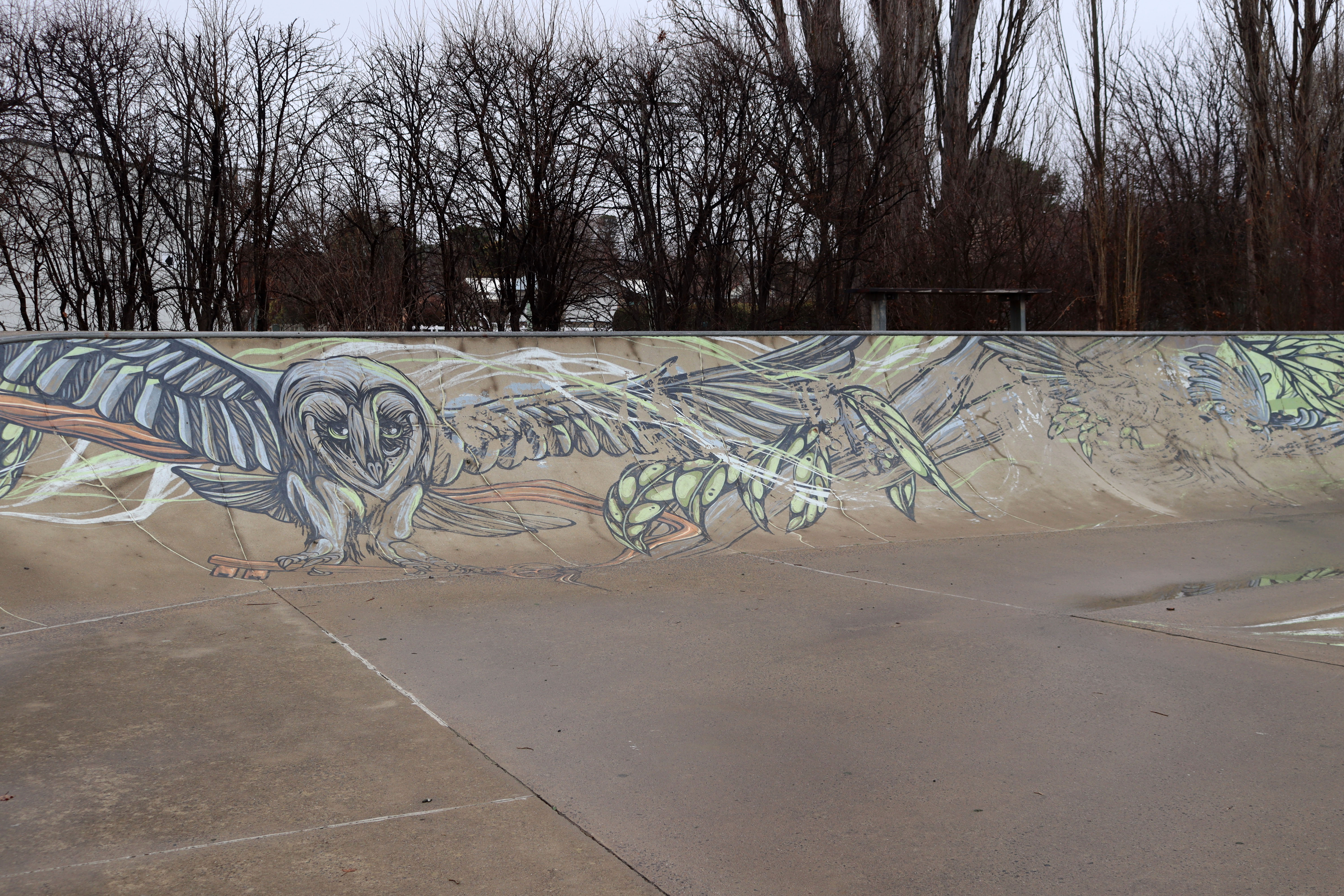 Berridale Skatepark by Mike Shankster | Street Art NSW