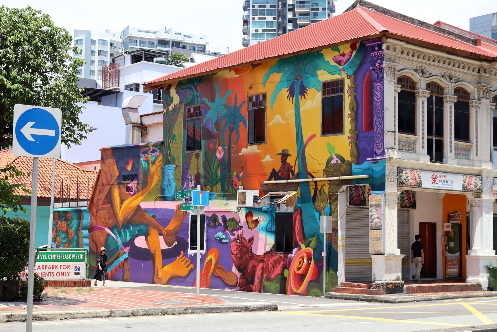 Beach Vibes by Song | Street Art NSW