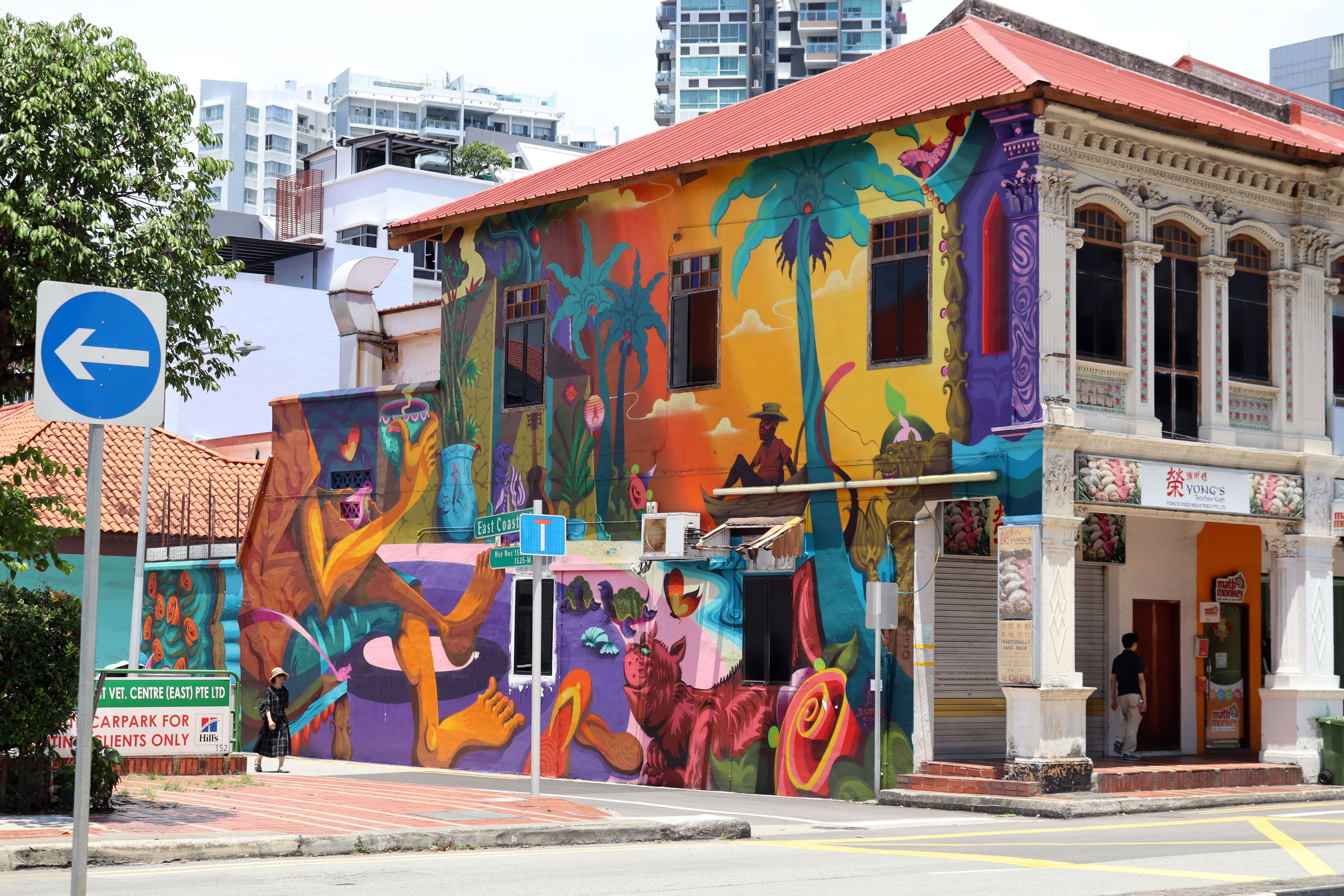 Beach Vibes by Song | Street Art NSW
