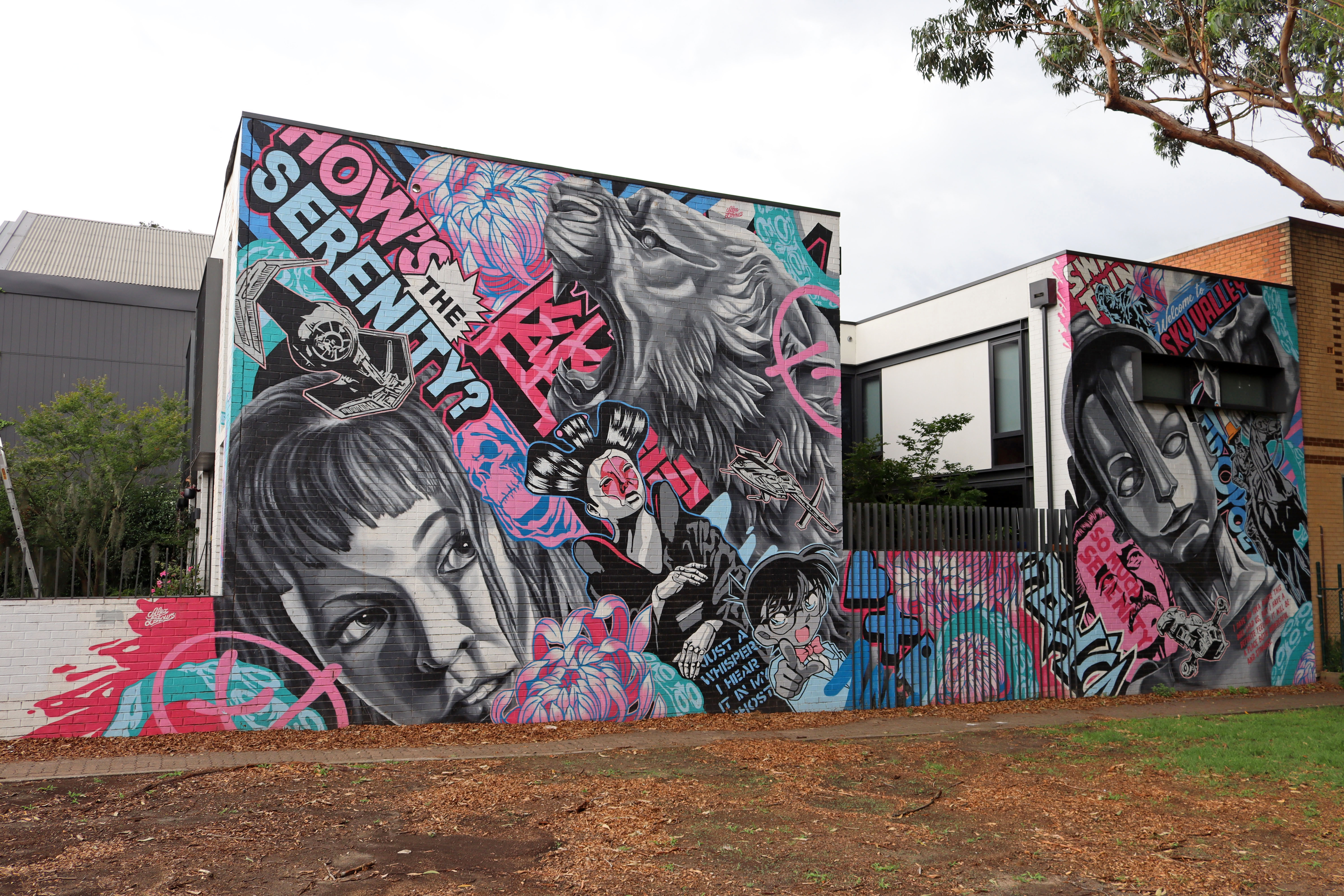 How's the Serenity? by Alex Lehours | Street Art NSW