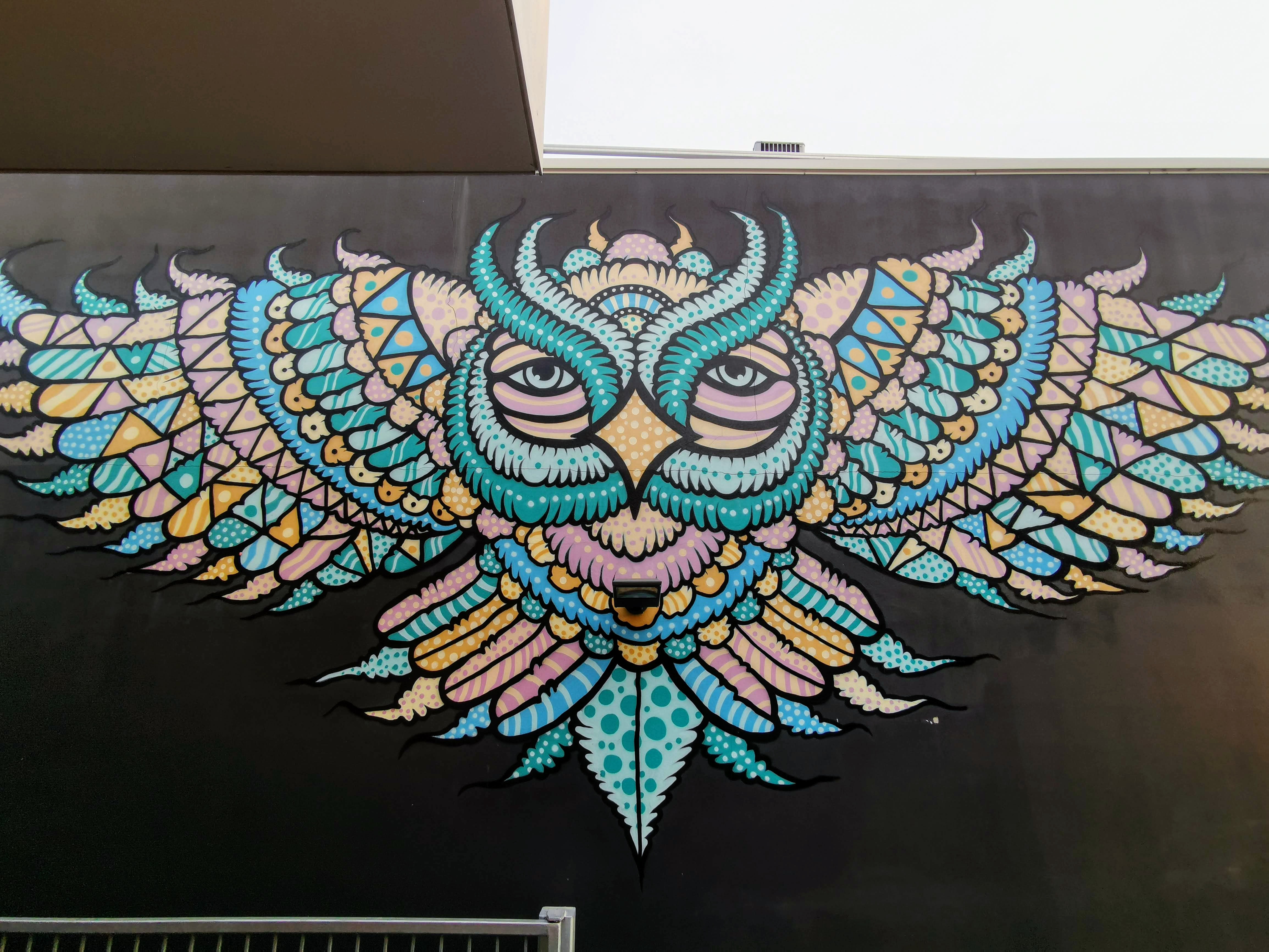 White Pea Fowl by Nico Nicoson | Street Art NSW