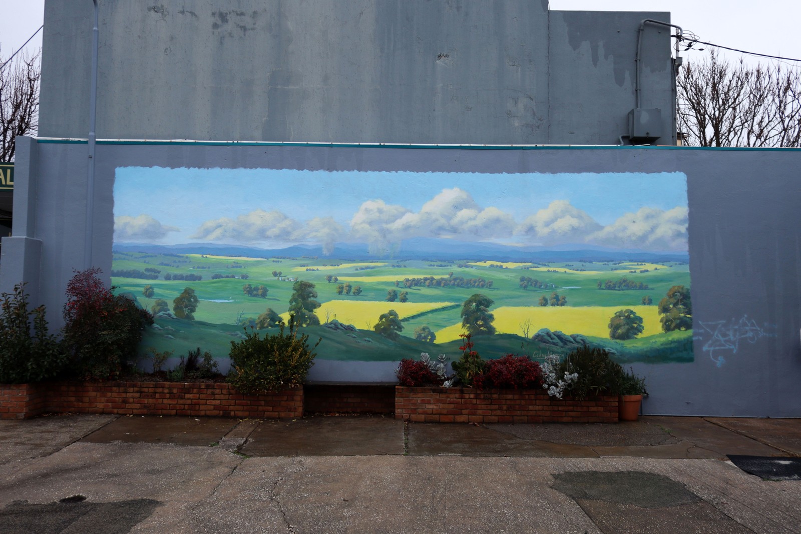 Cowra Canola Fields by Glenn Morton | Street Art NSW