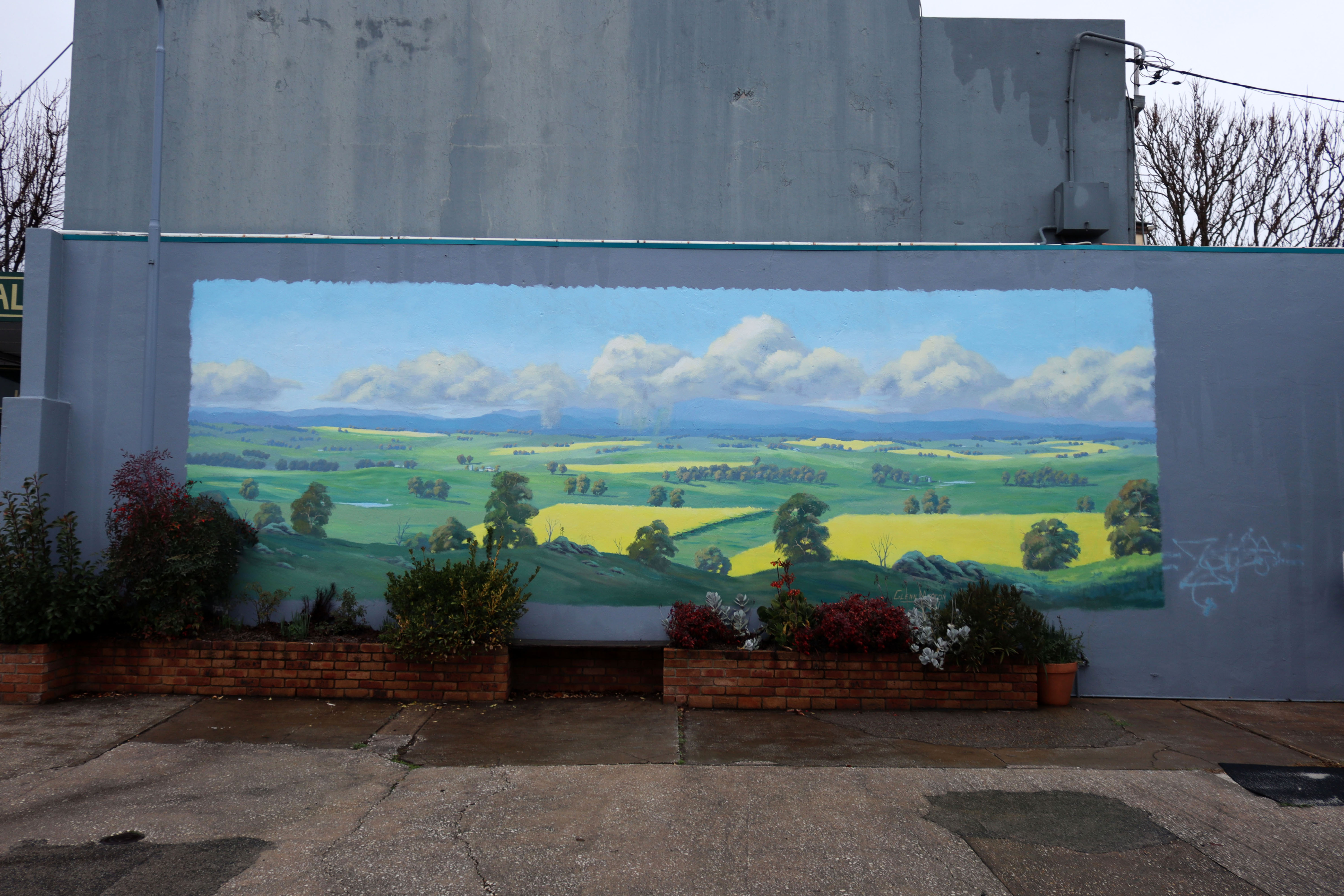 Cowra Canola Fields by Glenn Morton | Street Art NSW