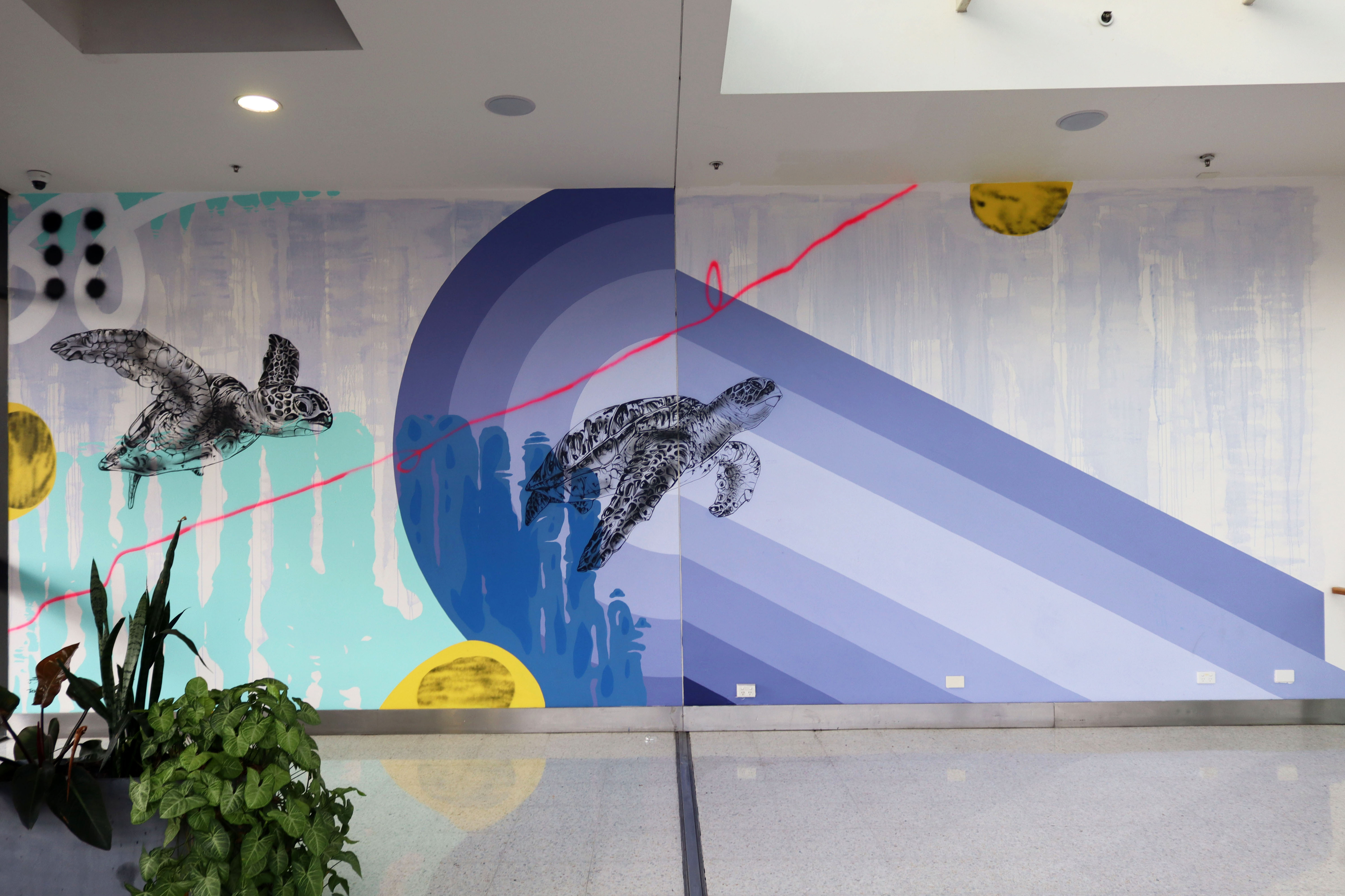 Turtle by Grant Molony | Street Art NSW