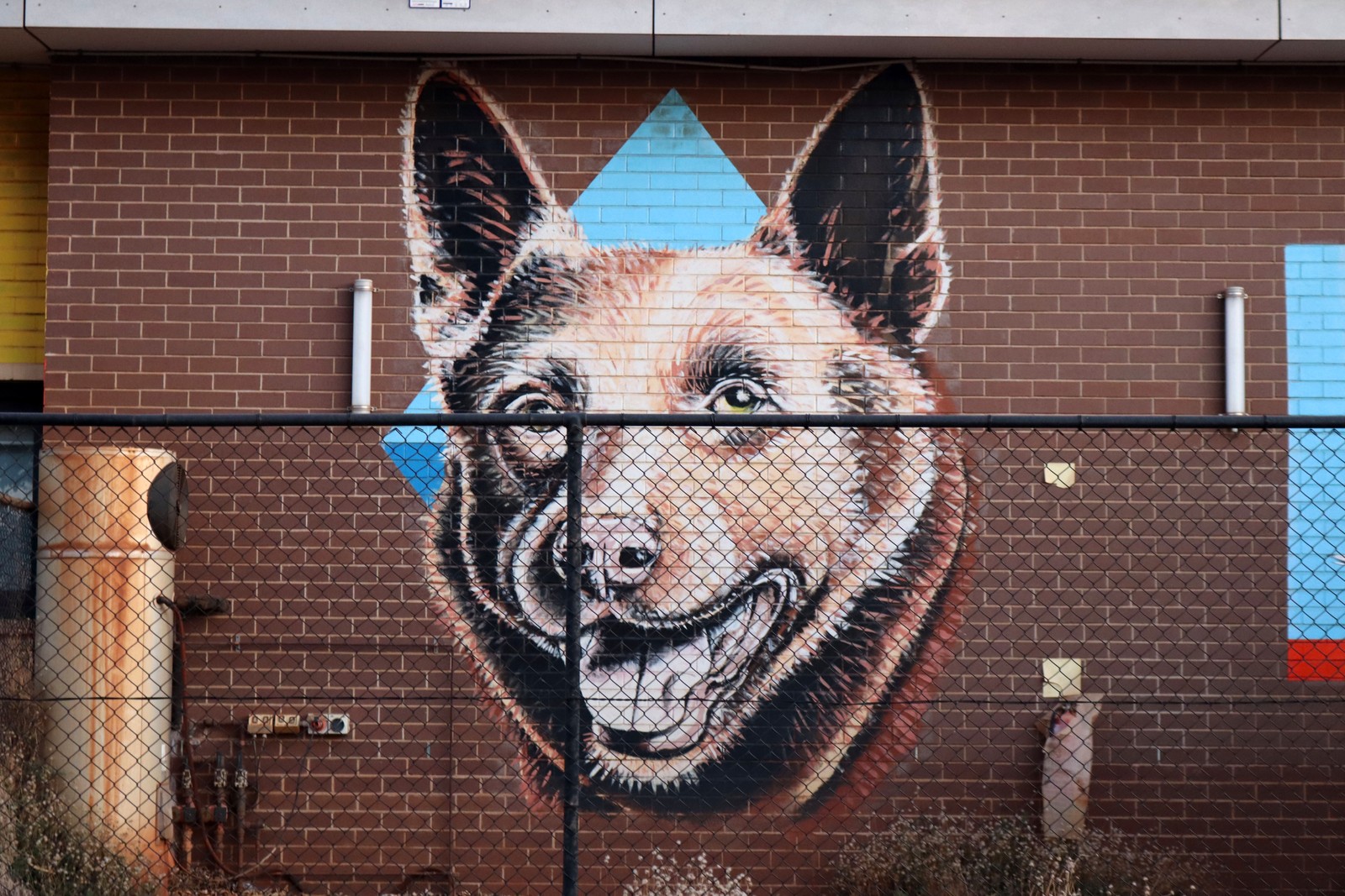 Dampier Community Hall by Brenton See | Street Art NSW