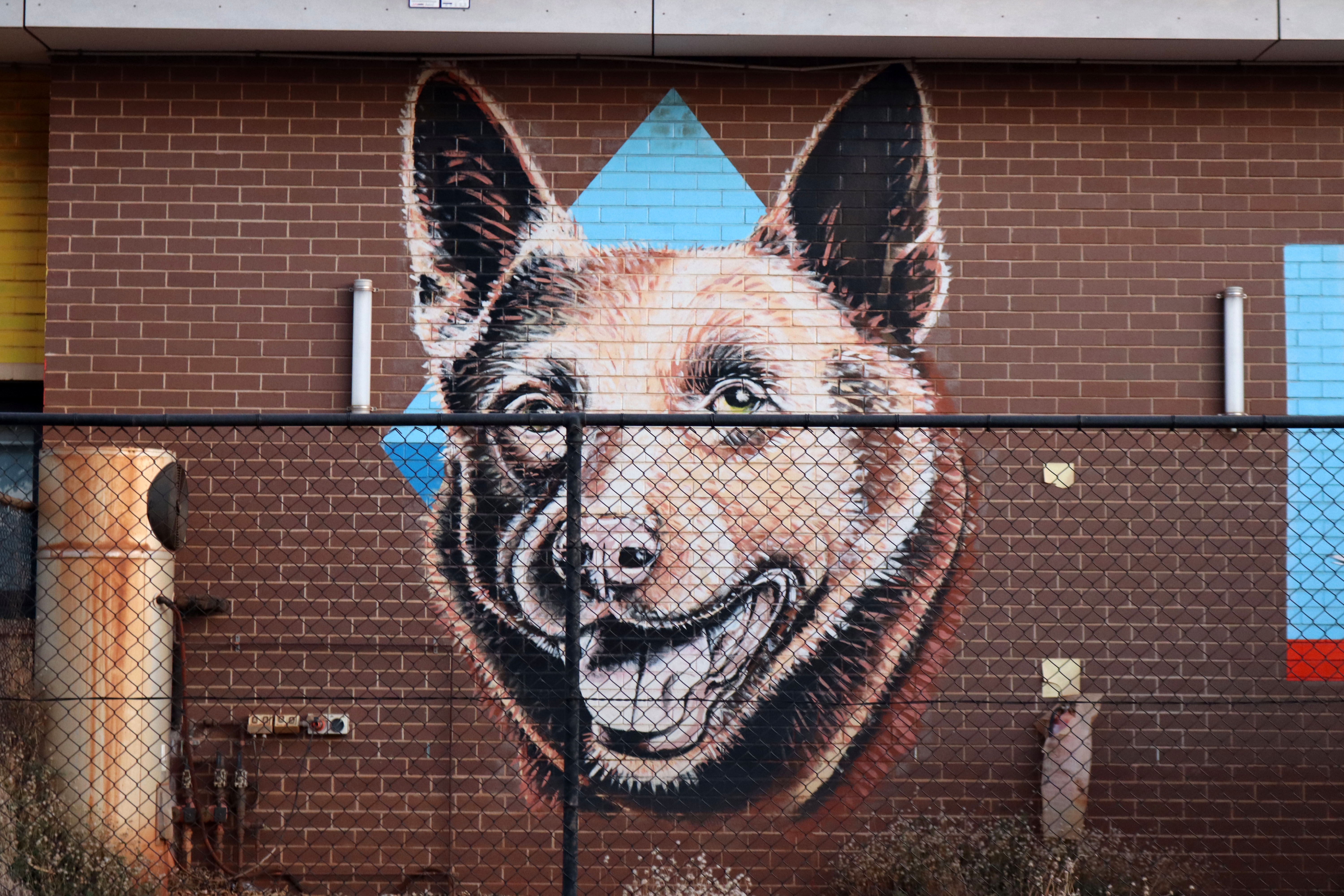 Dampier Community Hall by Brenton See | Street Art NSW